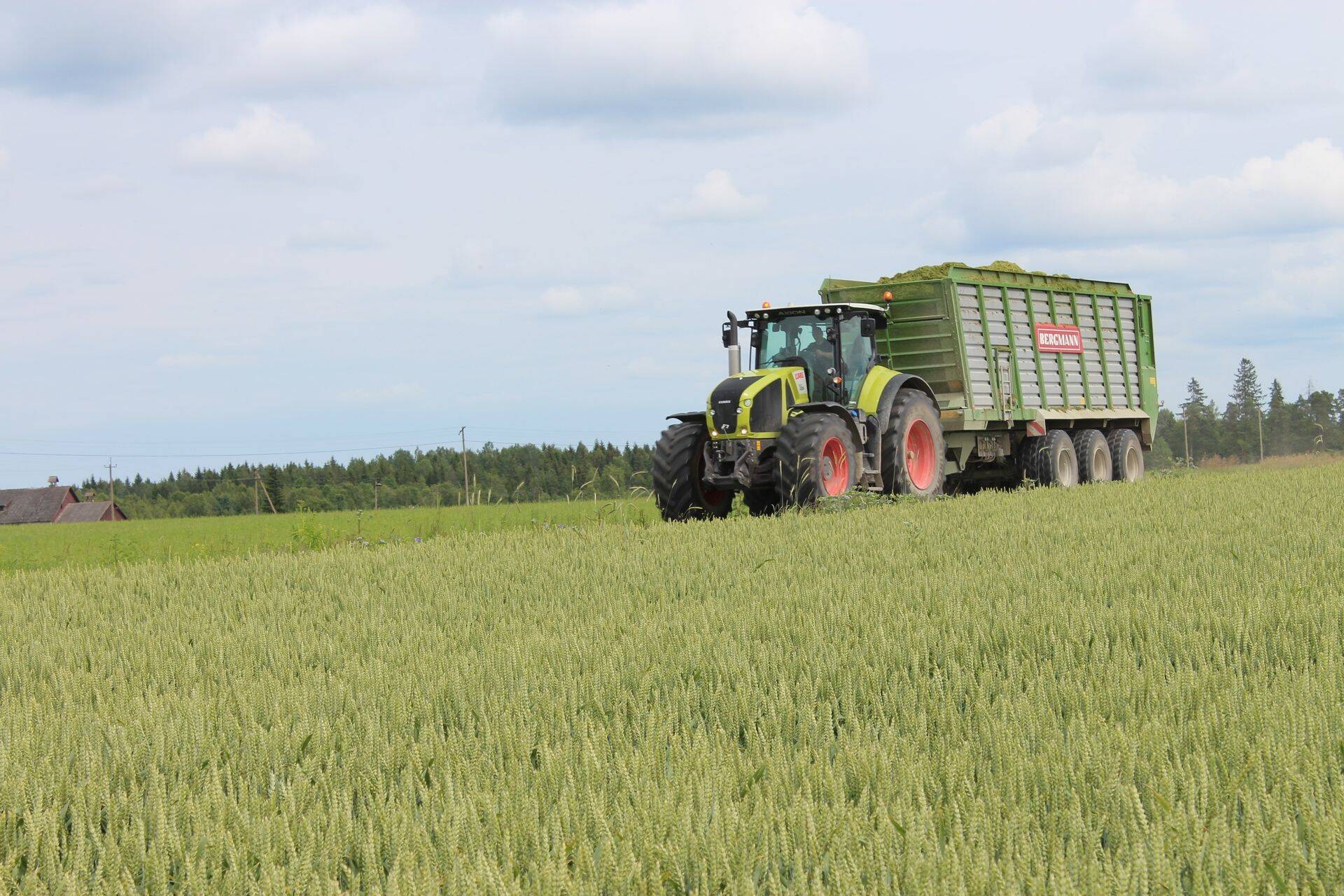 Börs: nisu hind tõuseb, rapsi hind heitlik
