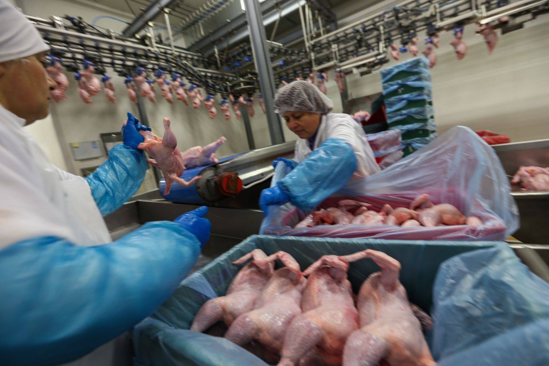 Эстонцы начинают искать более дешевые альтернативы привычным продуктам и все чаще смотрят в сторону полуфабрикатов. Фото иллюстративное.