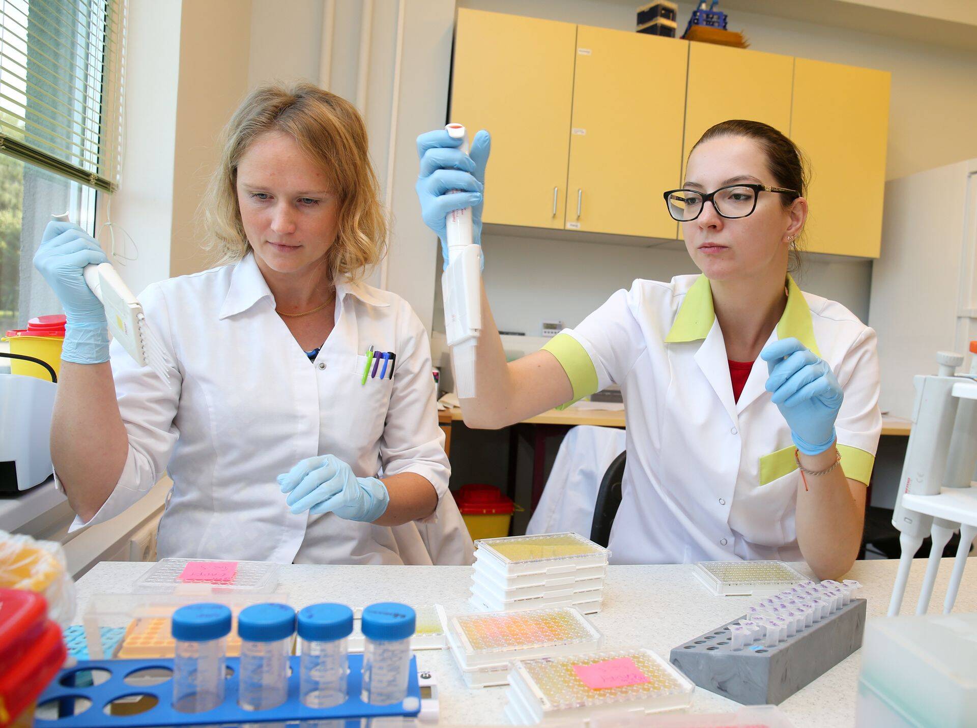 Arendustöö Icosagenis.