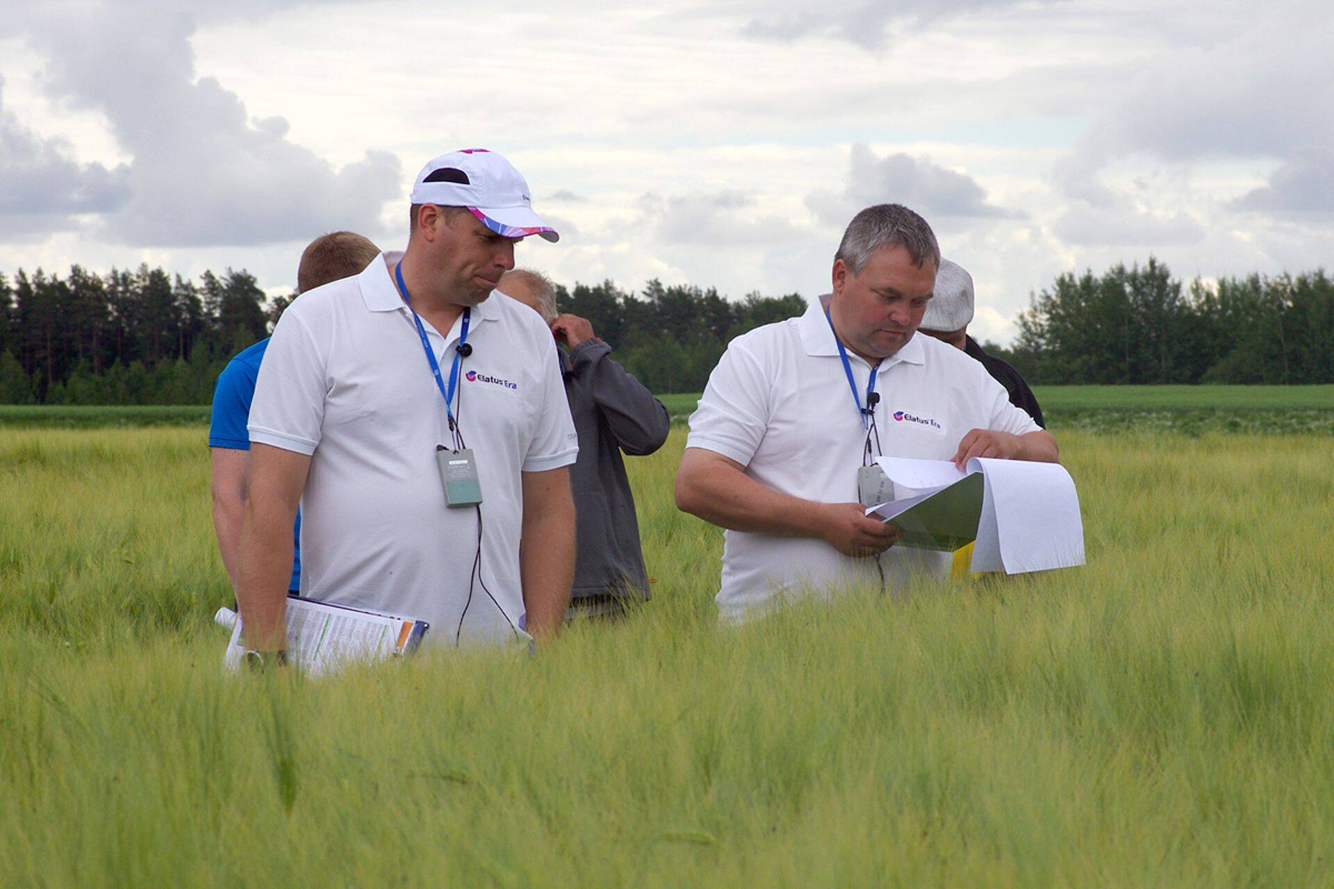 Kaupo Suik ja Erki Oidermaa põllupäeval