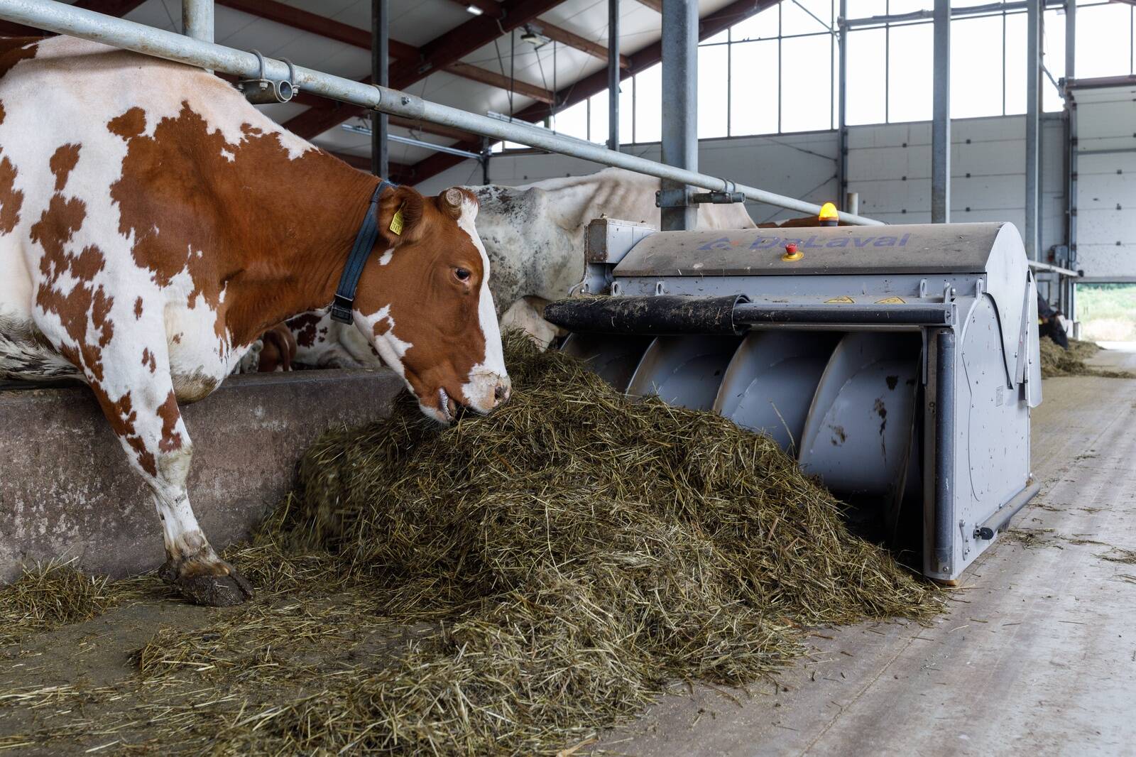 Meie põllumehed on juba uuenduslikud nii põllul kui laudas.