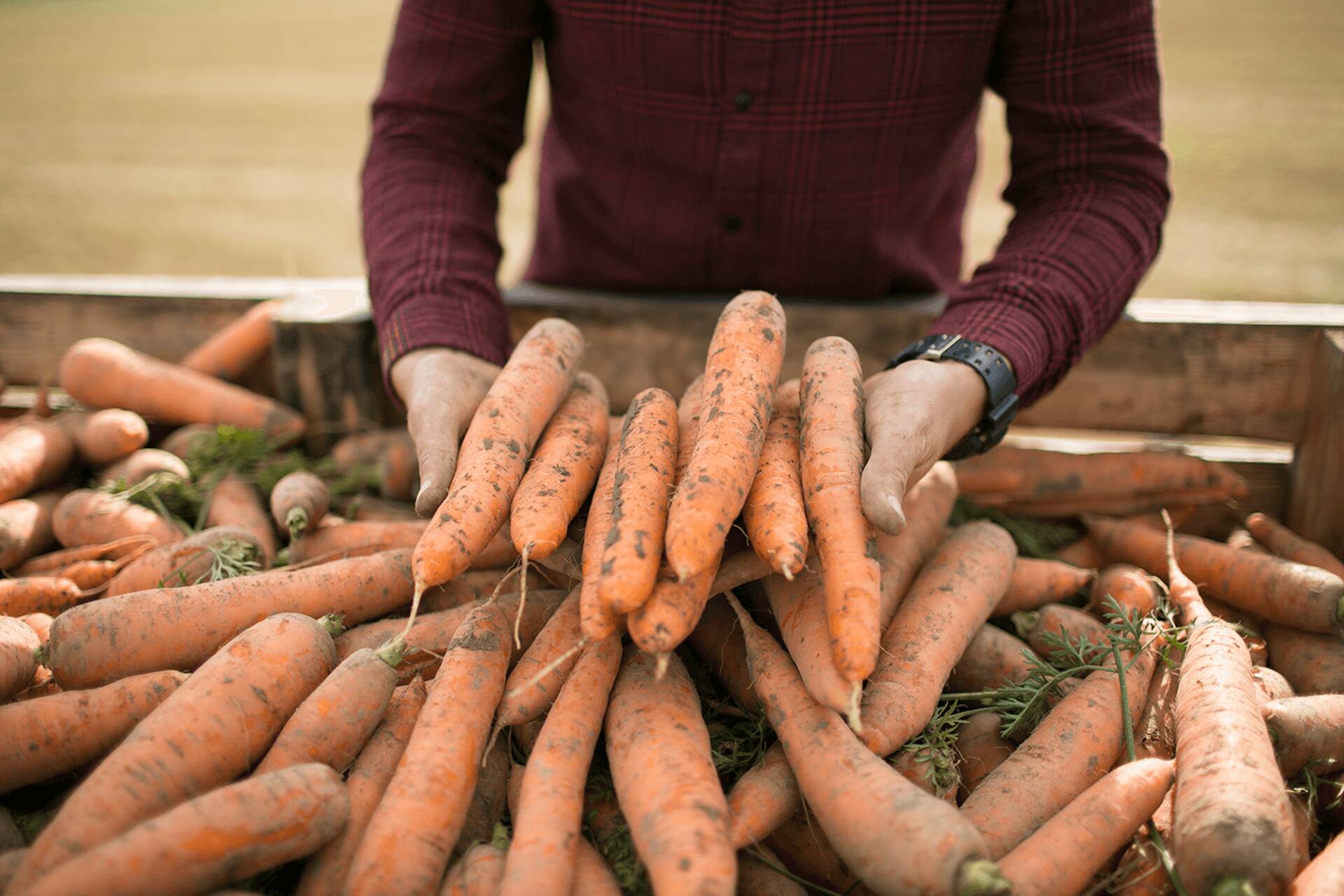 Крупнейший производитель органической сельскохозяйственной продукции в Европе Auga проводит эмиссию акций