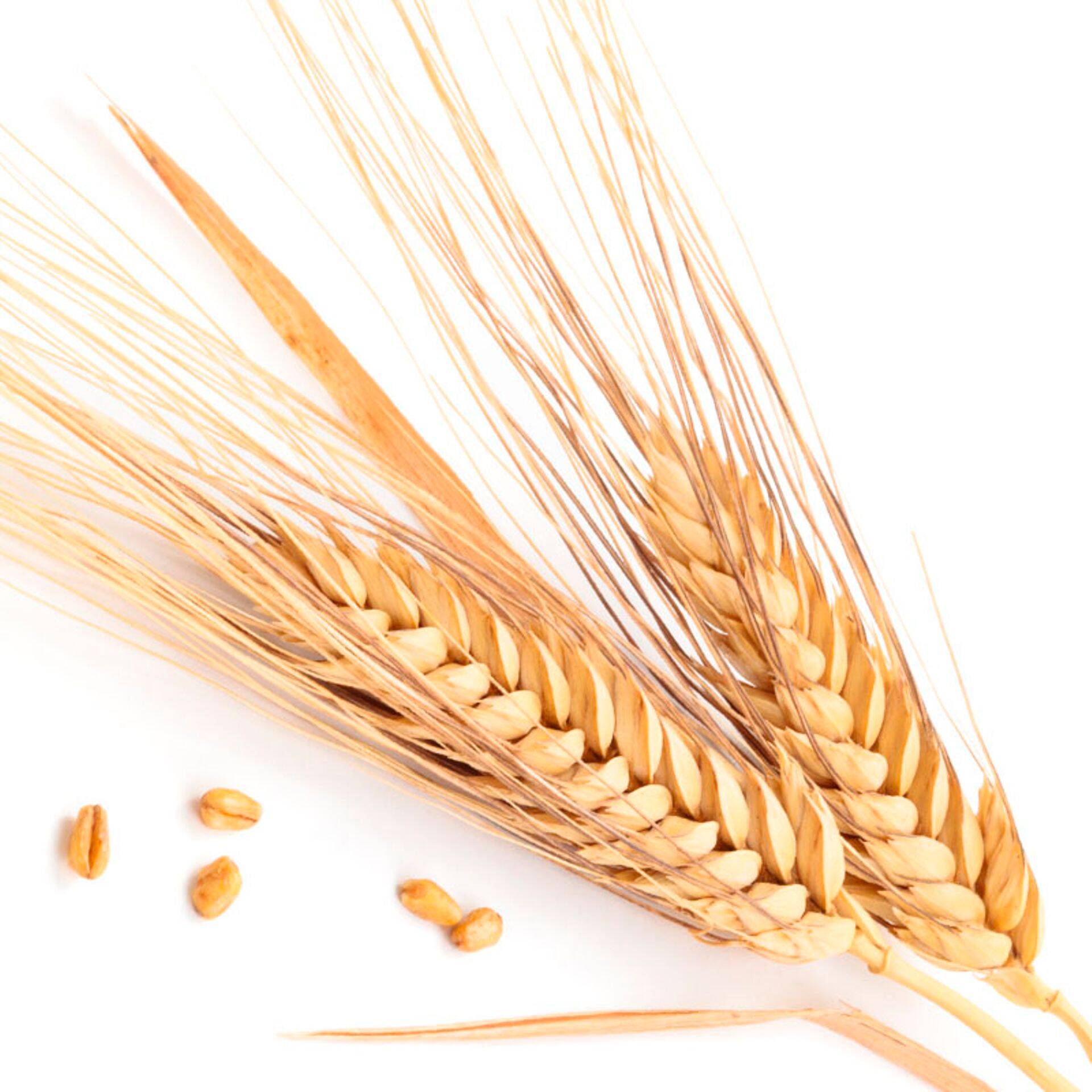 Viimast päeva soodushinnaga konverentsile „Põllumajanduse Äriplaan 2017“