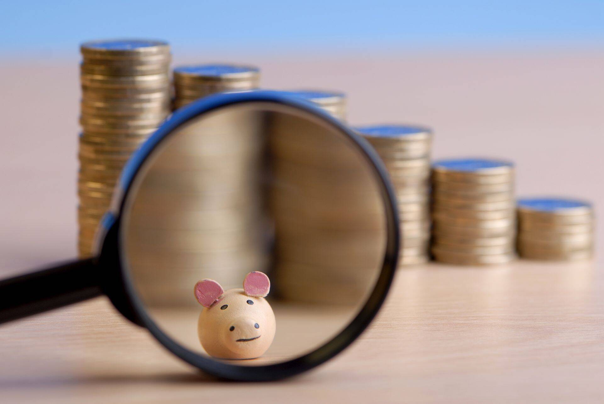 Valitsus leppis kokku nelja aasta eelarvestrateegia