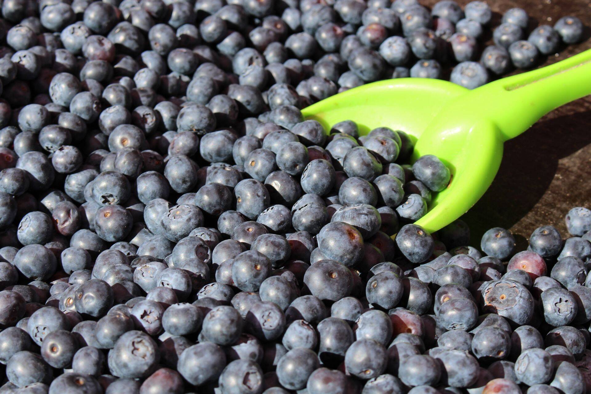 Tamm: Enamik liikmesriikidest soovis mahemääruse aruteludega edasi minna