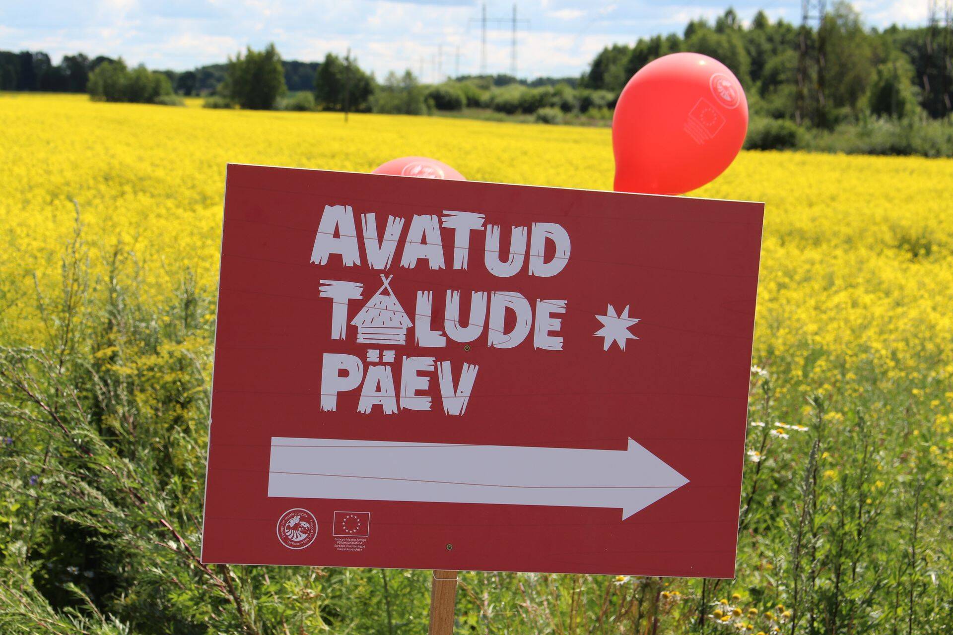 Anna oma talu üles.