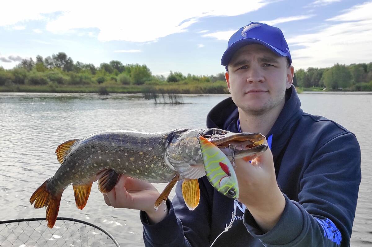 10 cm pikkune Lucky Johni Arrow Jerk töös.