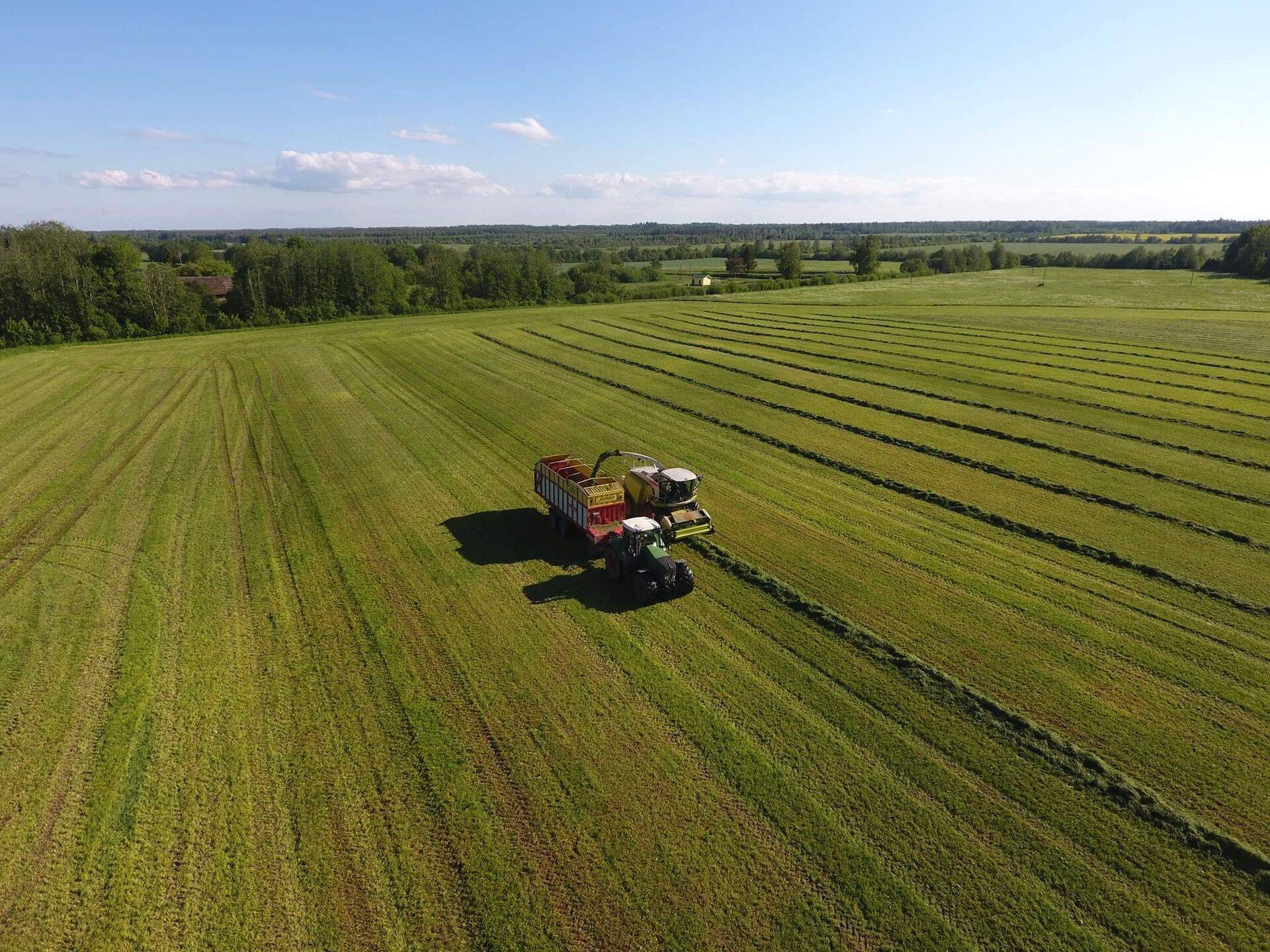 Männiku Teravilja omanik harib pea 5000 hektarit põllumaad.
