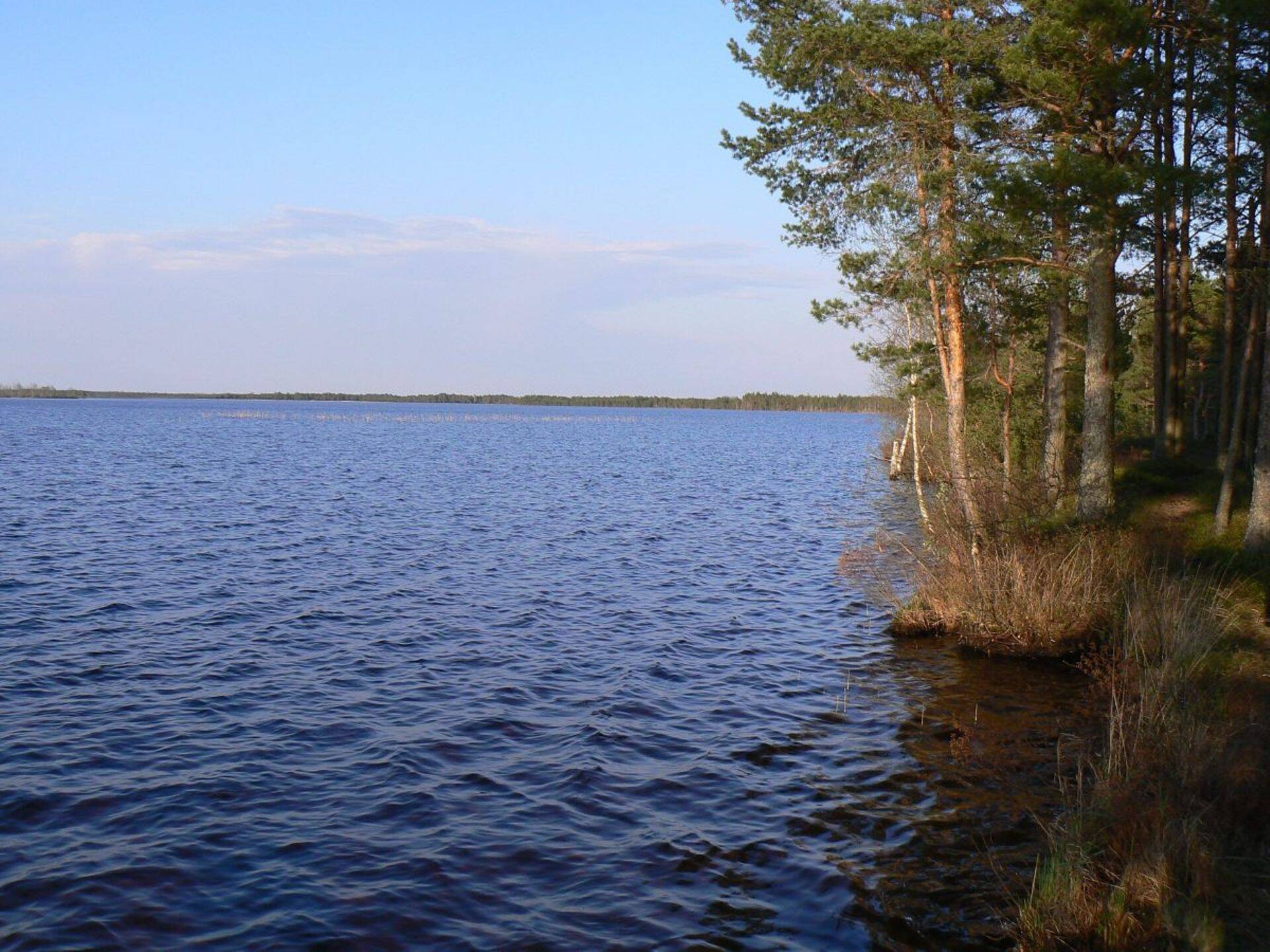 Tänavjärvest leiti seire käigus järve settest taimekaitsevahendit glüfosaat.