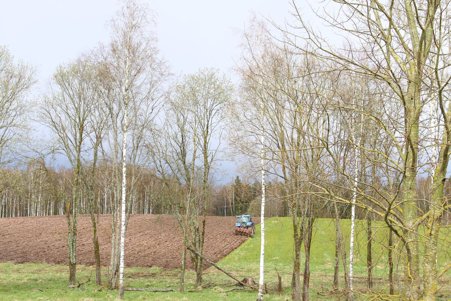 Seisuga 31.12.2021 oli Eestis maakatastri statistika põhjal haritava maa pindala 1 046 468 hektarit.