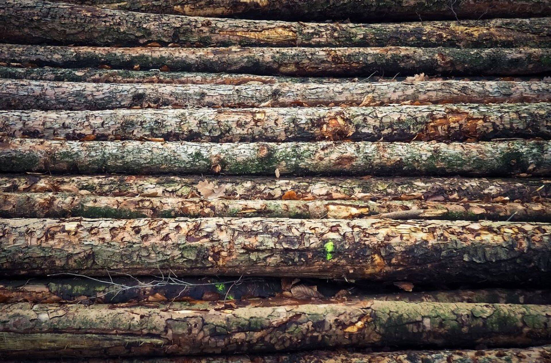 Roger Puit AS teenis 2019. aastal 13,06 miljoni eurose käibe juures 5,42 miljonit eurot tegevuskasumit.