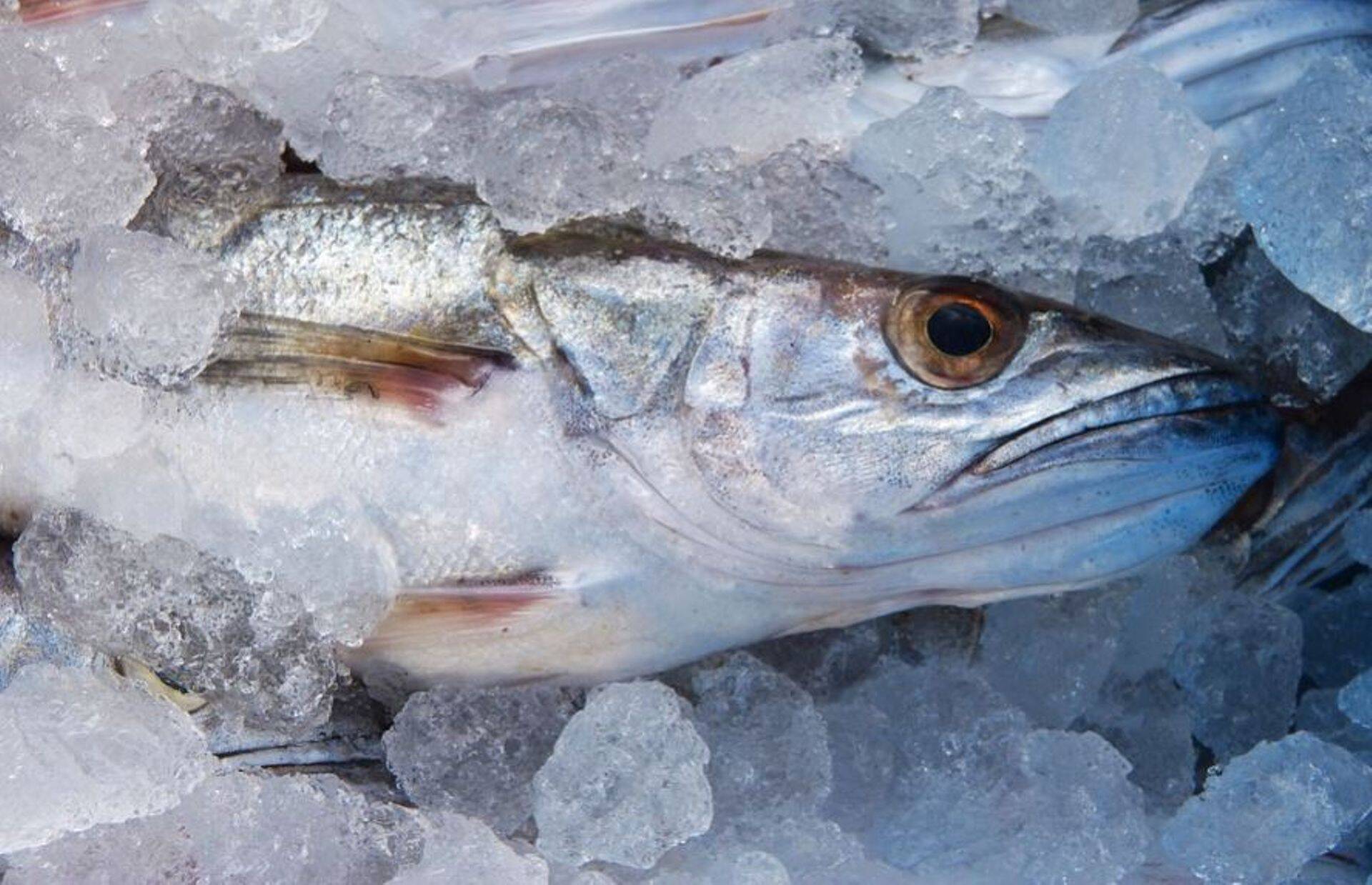 Kalakasvatajate ühistuga Ecofarm liitus Kalatalu Härjanurmes