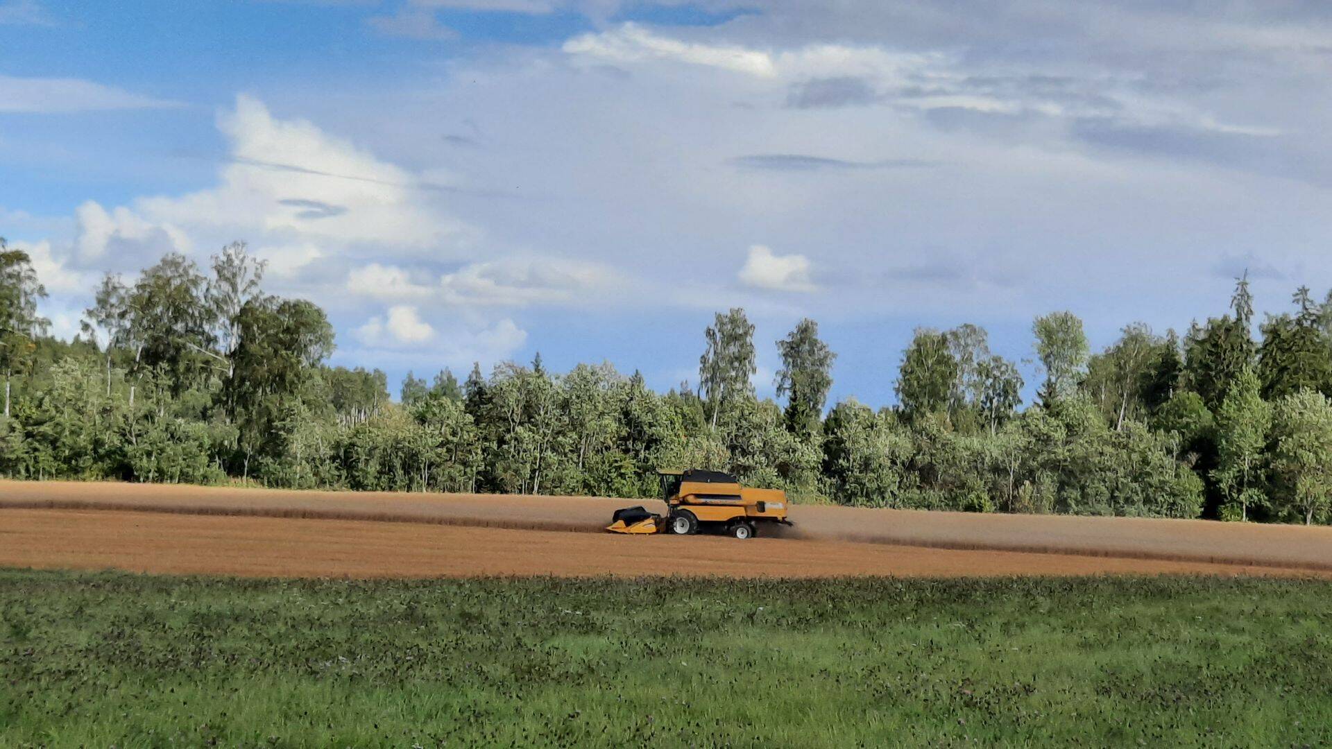 Viljavõtt Järvamaal.