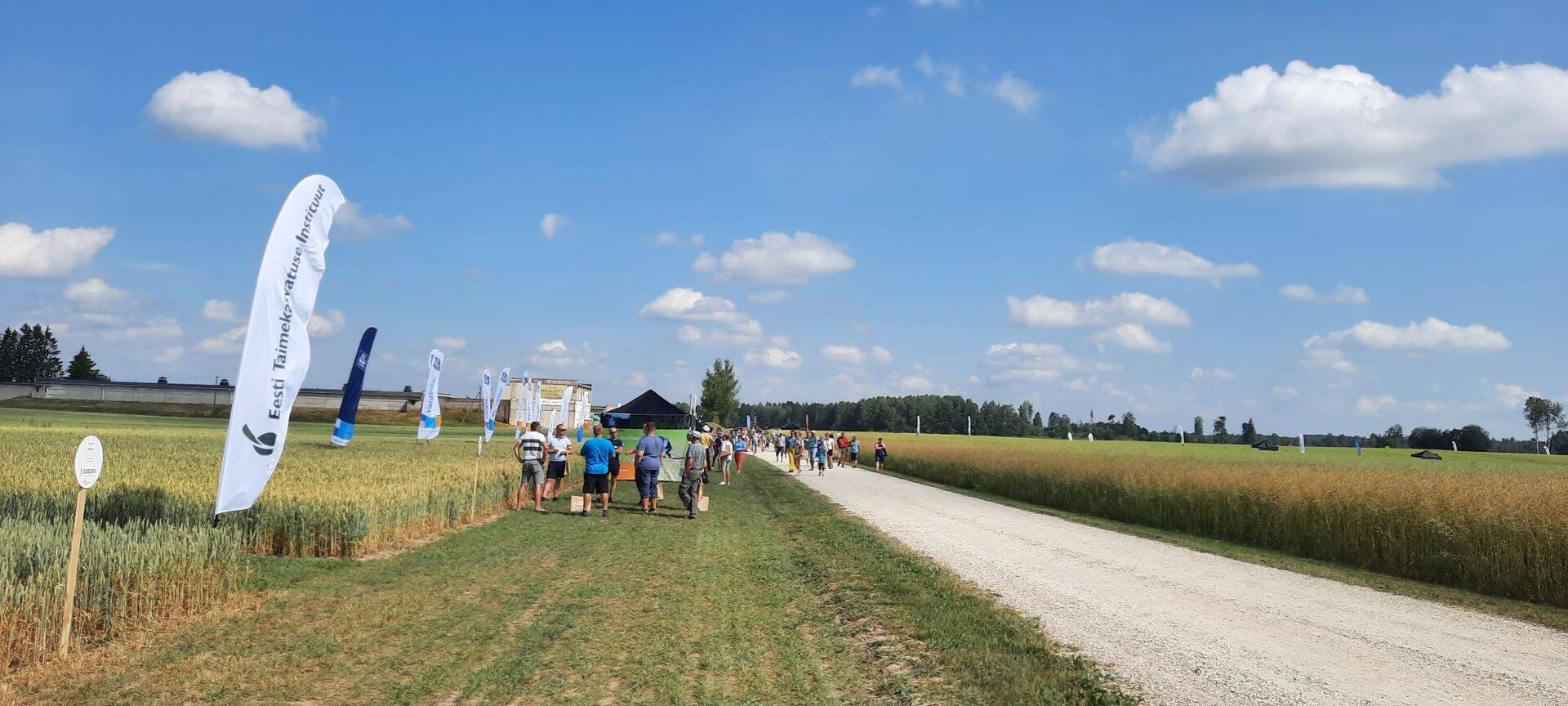 Sel suvel ühendasid ETKI ja Scandagra põllupäeva korraldamisel jõud.