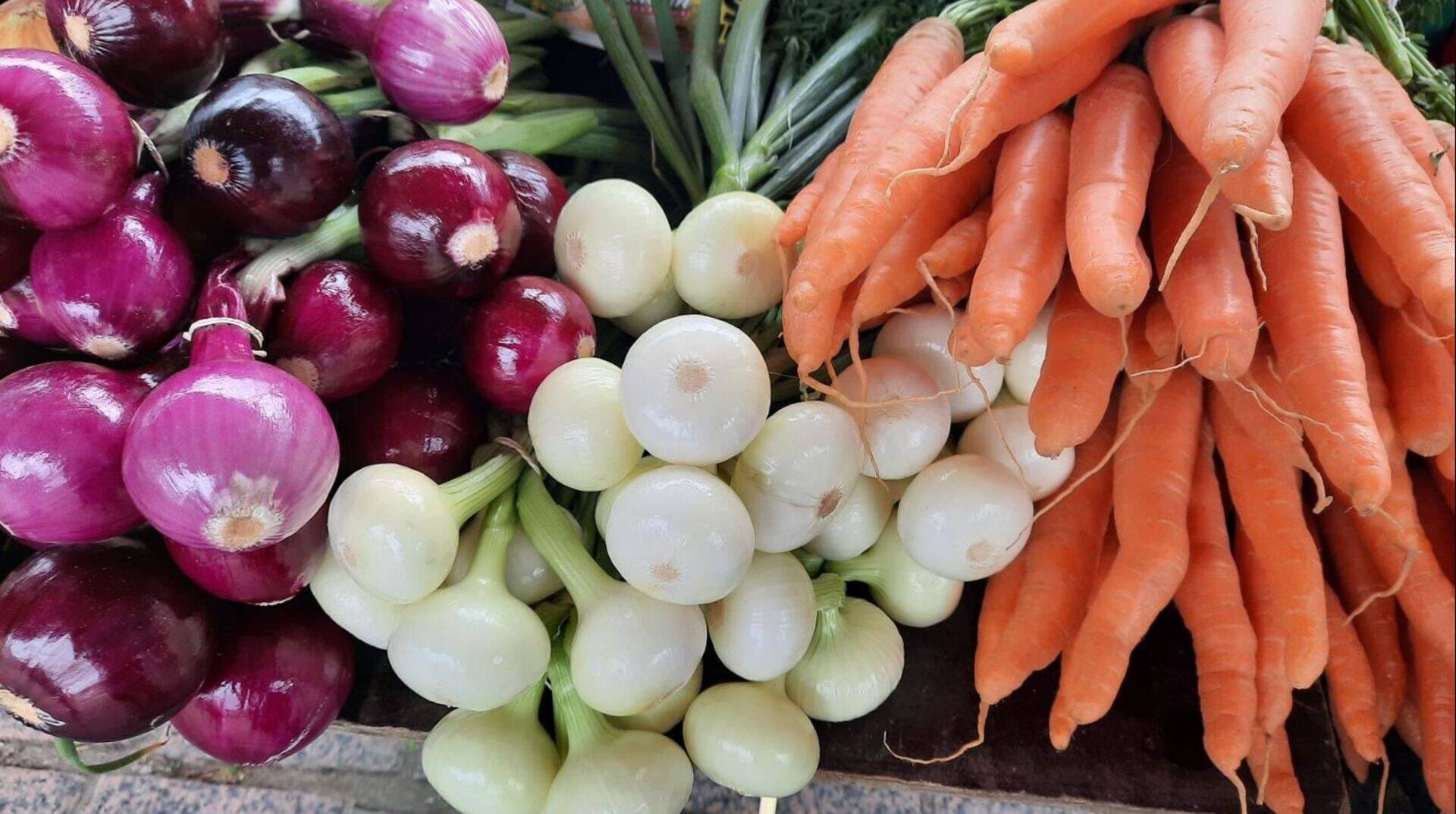 Algab Põhja-Eesti maitsete aasta.