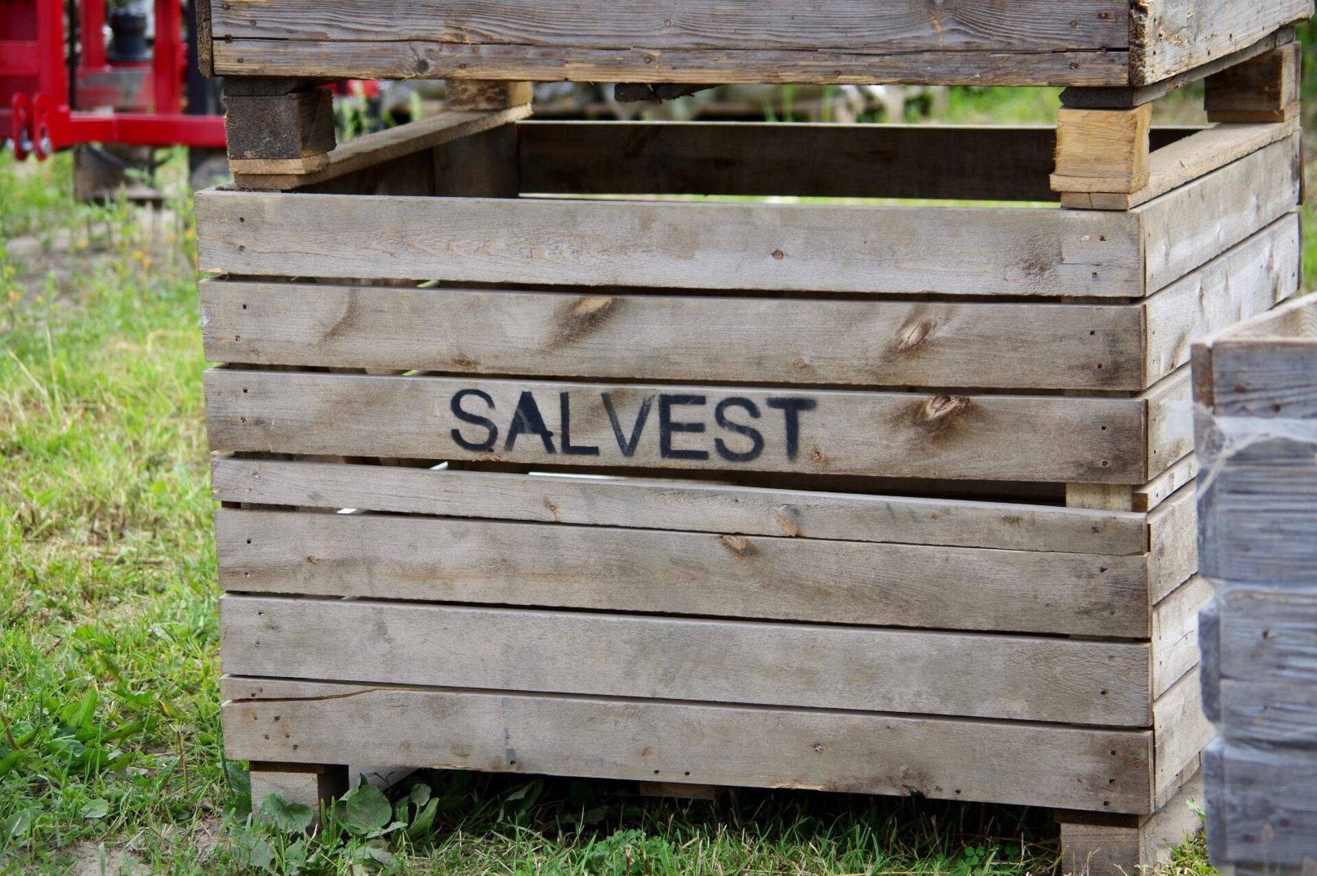 Salvest kogus 1200 tonni kurke