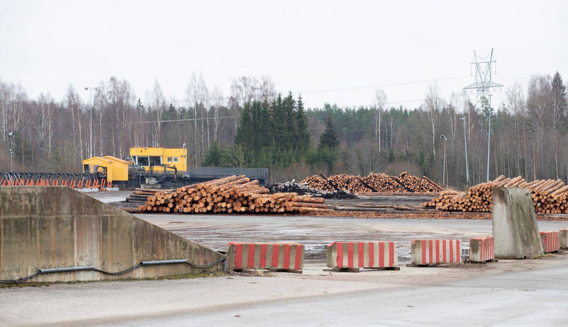 Suurema osatähtsusega tööstusharudest vähenes puidu töötlemine.