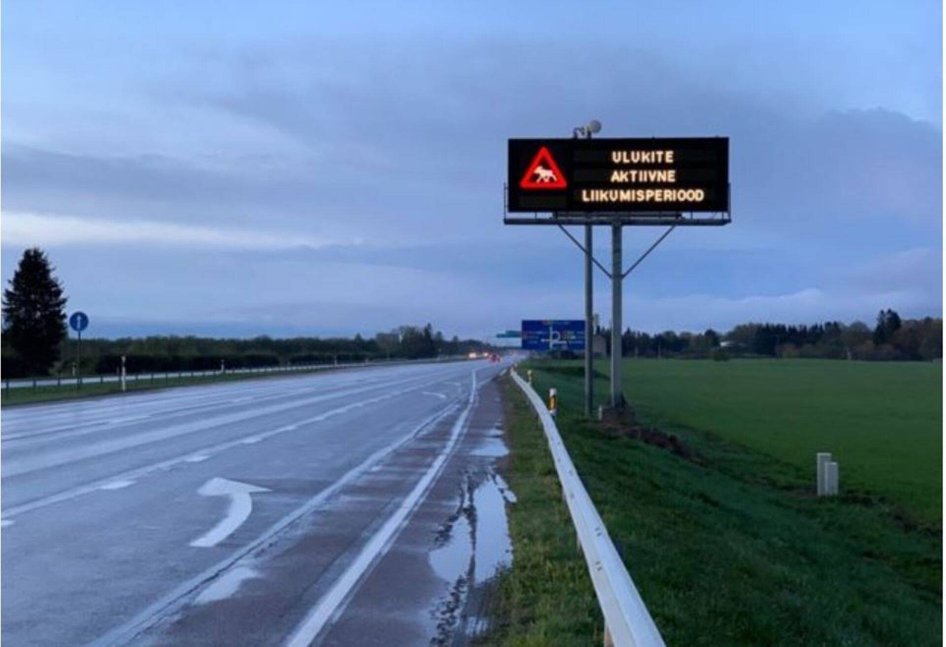Maanteel kuvatud hoiatusteadet „Ulukite aktiivne liikumisperiood“.