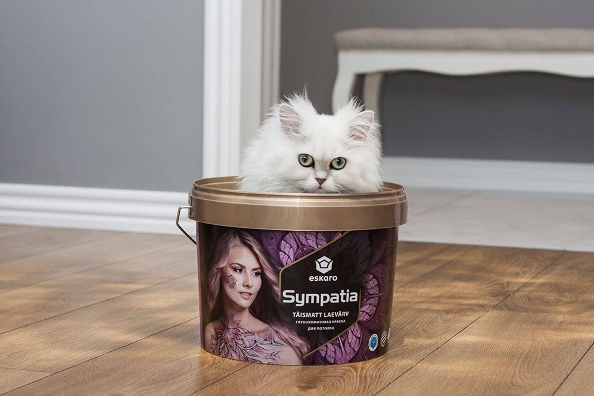 Руководство эстонского производителя красок смотрит в будущее с оптимизмом.