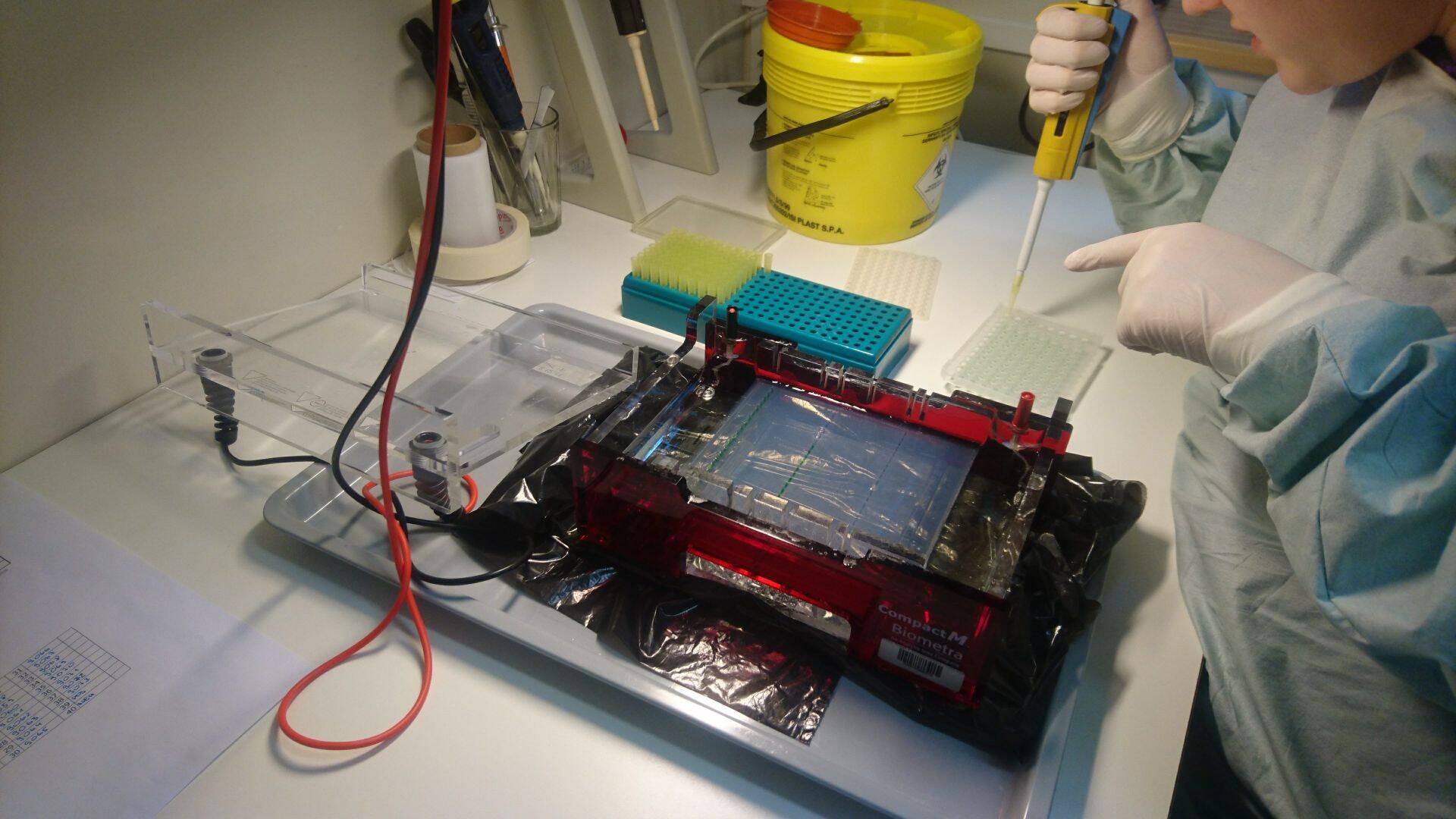 Puugi uurimine laboris.