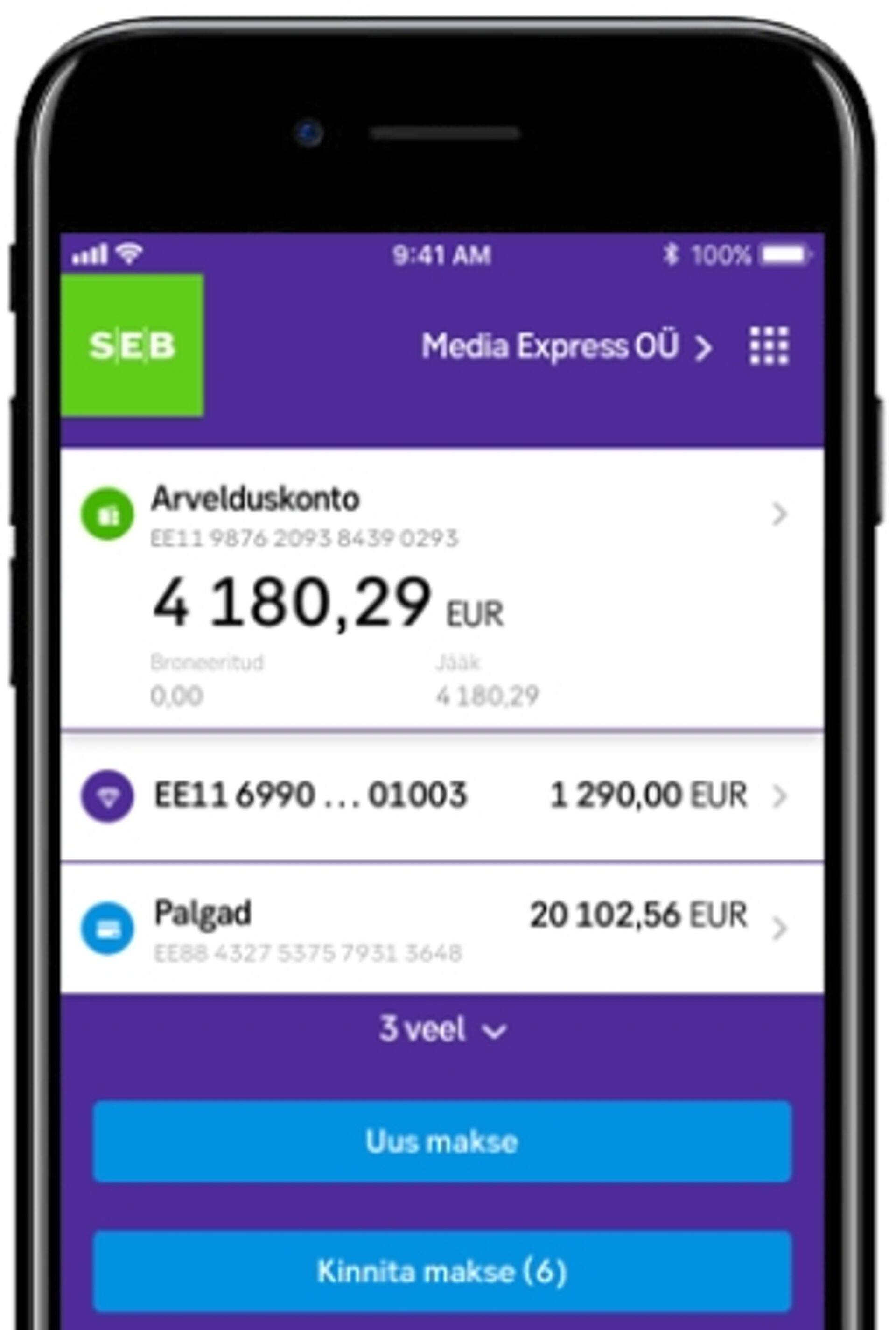 Panga ärikliendi mobiilivaade.