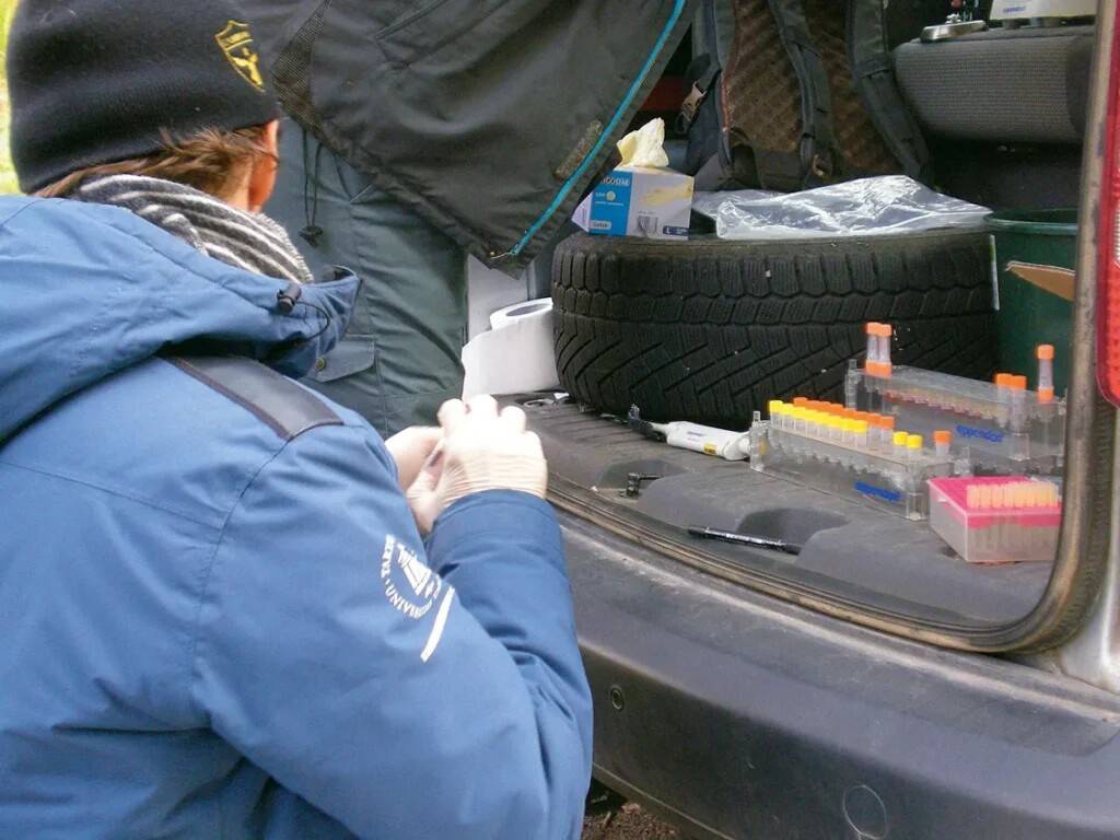 Spontaanne „välilabor“ jõe ääres proovide kogumiseks ja töötlemiseks. Foto: Jürgen Karvak