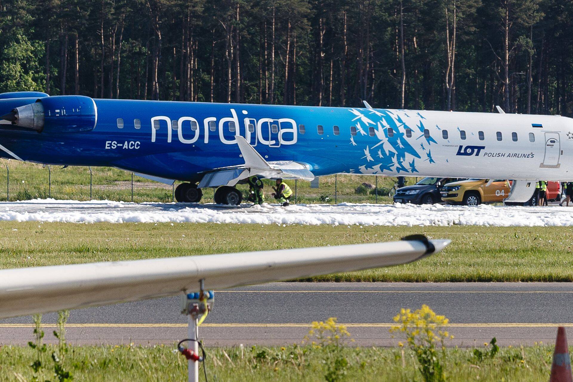 Nordica