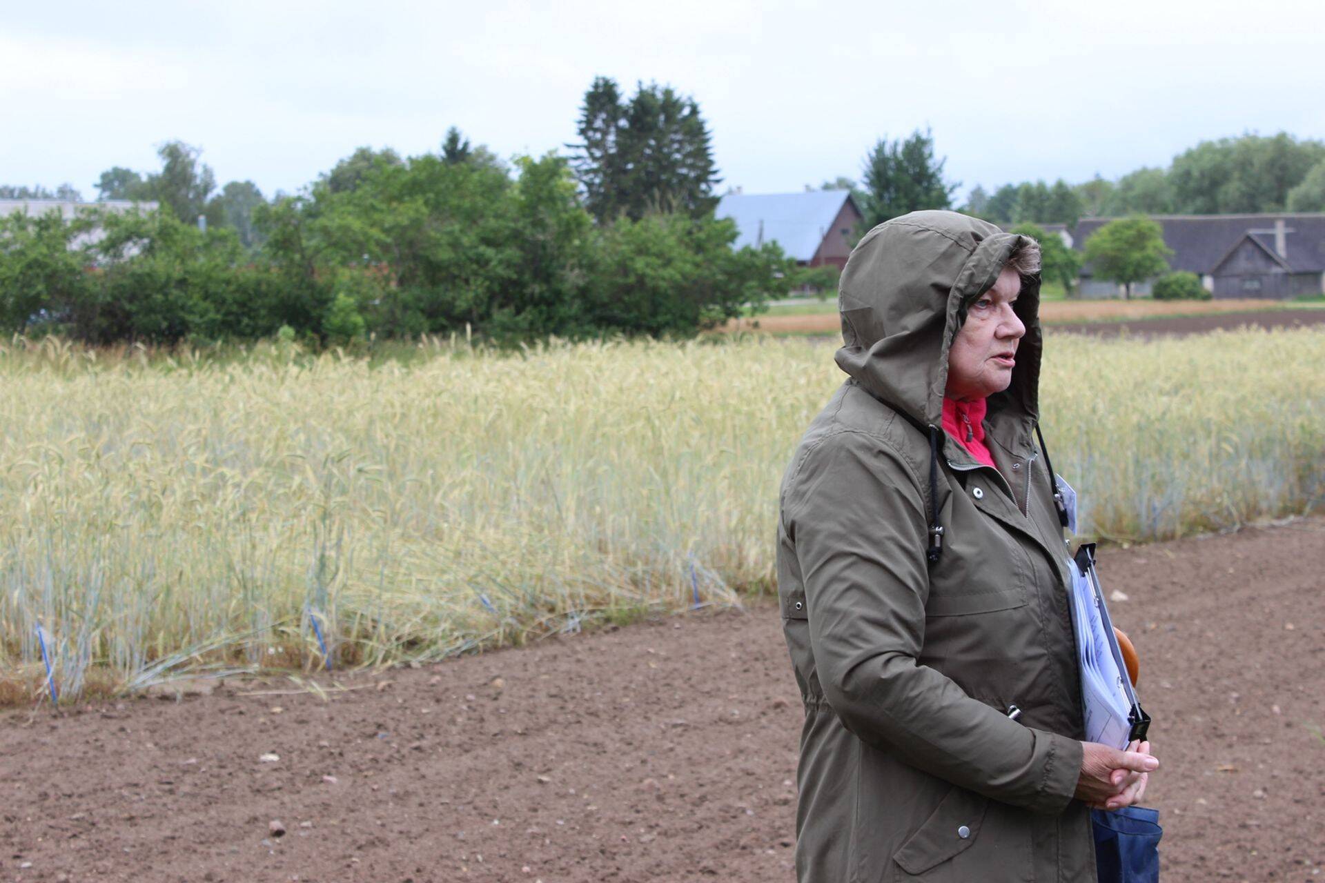 Ilme Tupits rukkiteemadel rääkimas.