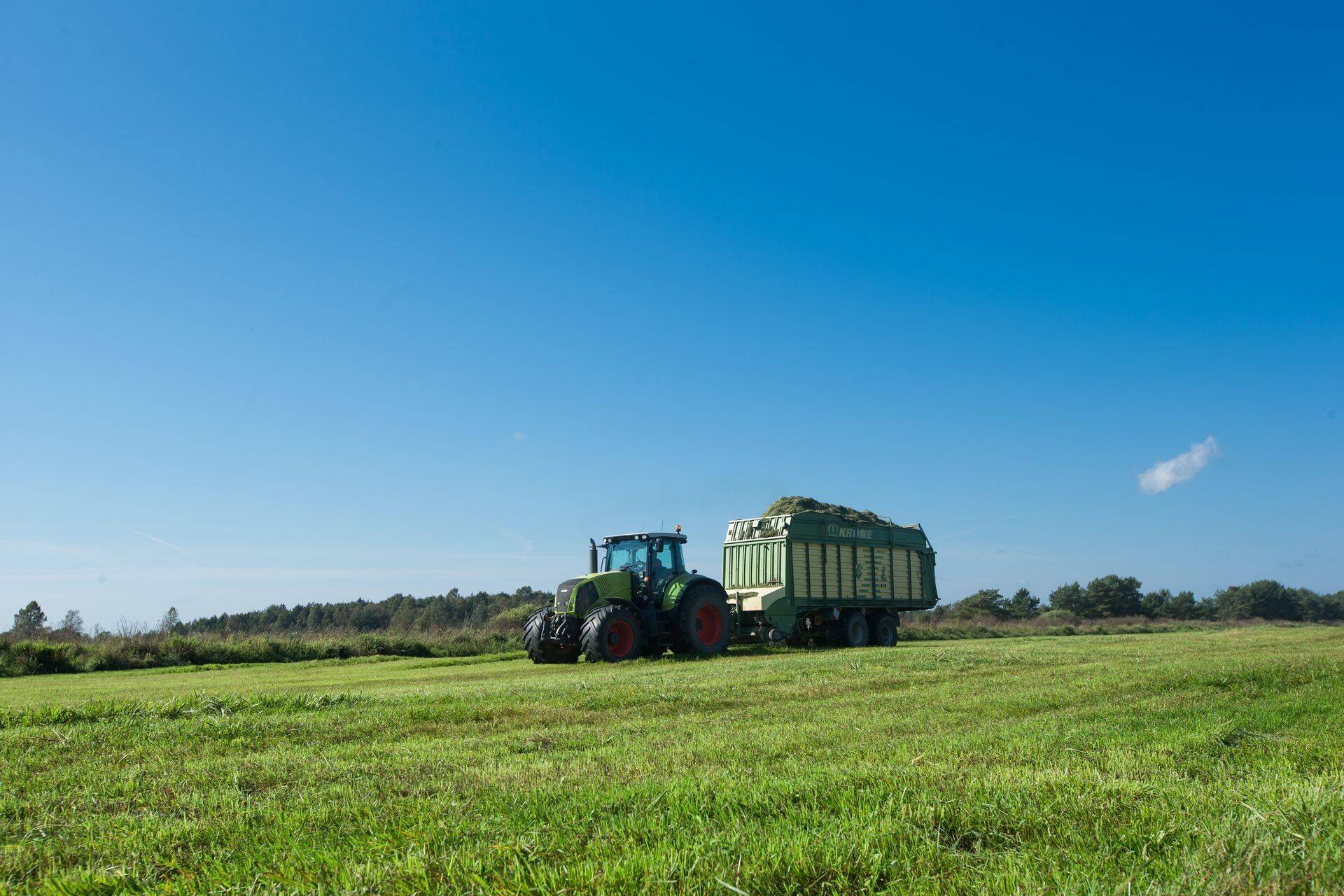 Трактор на поле