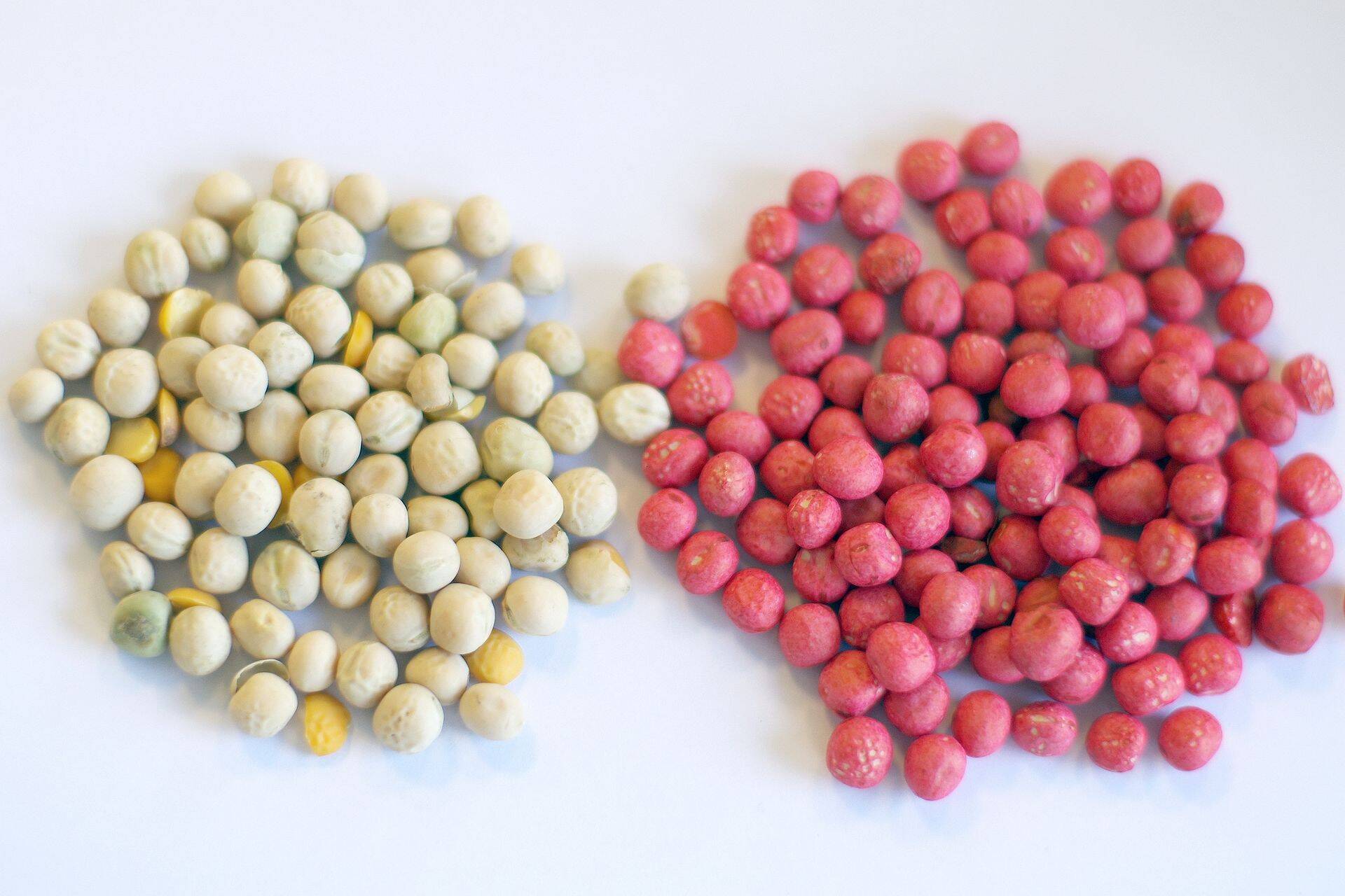 Puhtimata herneseeme vs puhitud Maxim 025FS-ga