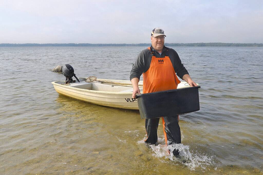 Mõrd on kontrollitud. Nüüd algab ahvenate suitsutamine.