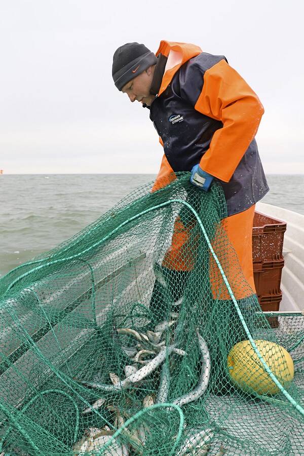 Mõrdade nõudmisega tuleb tegeleda igapäevaselt või äärmisel juhul üle päeva. See on füüsiliselt päris kurnav ja raske töö.