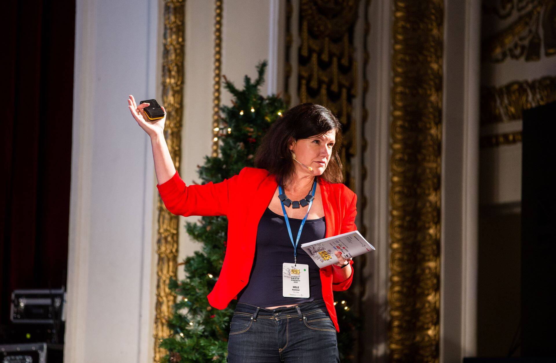 EBSi finantsjuhi arenguprogrammi juhtivõppejõud ja  Telema tegevjuht Hele Hammer.