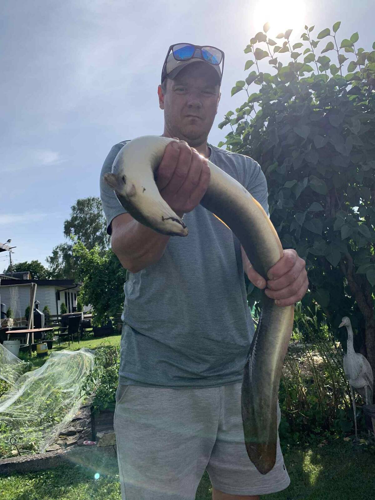 Rüsaga tabatud 1,6 kg angerjas.