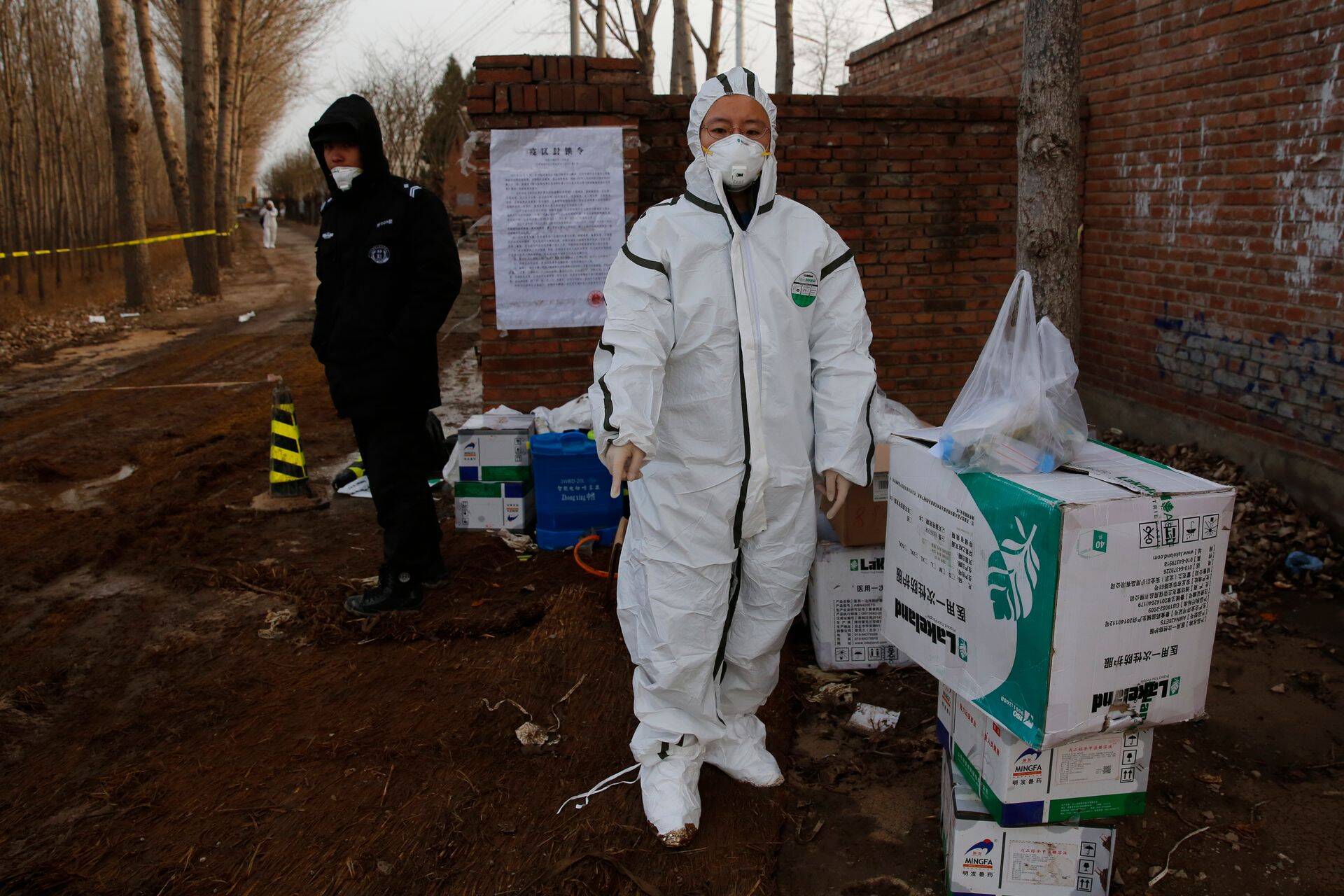 Hiina ametiisik uurimas sea Aafrika katku tõttu farmi Pekingi lähedal mullu detsembris.