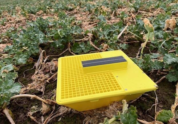 Bayeri intelligentne putukapüünis MagicTrap.