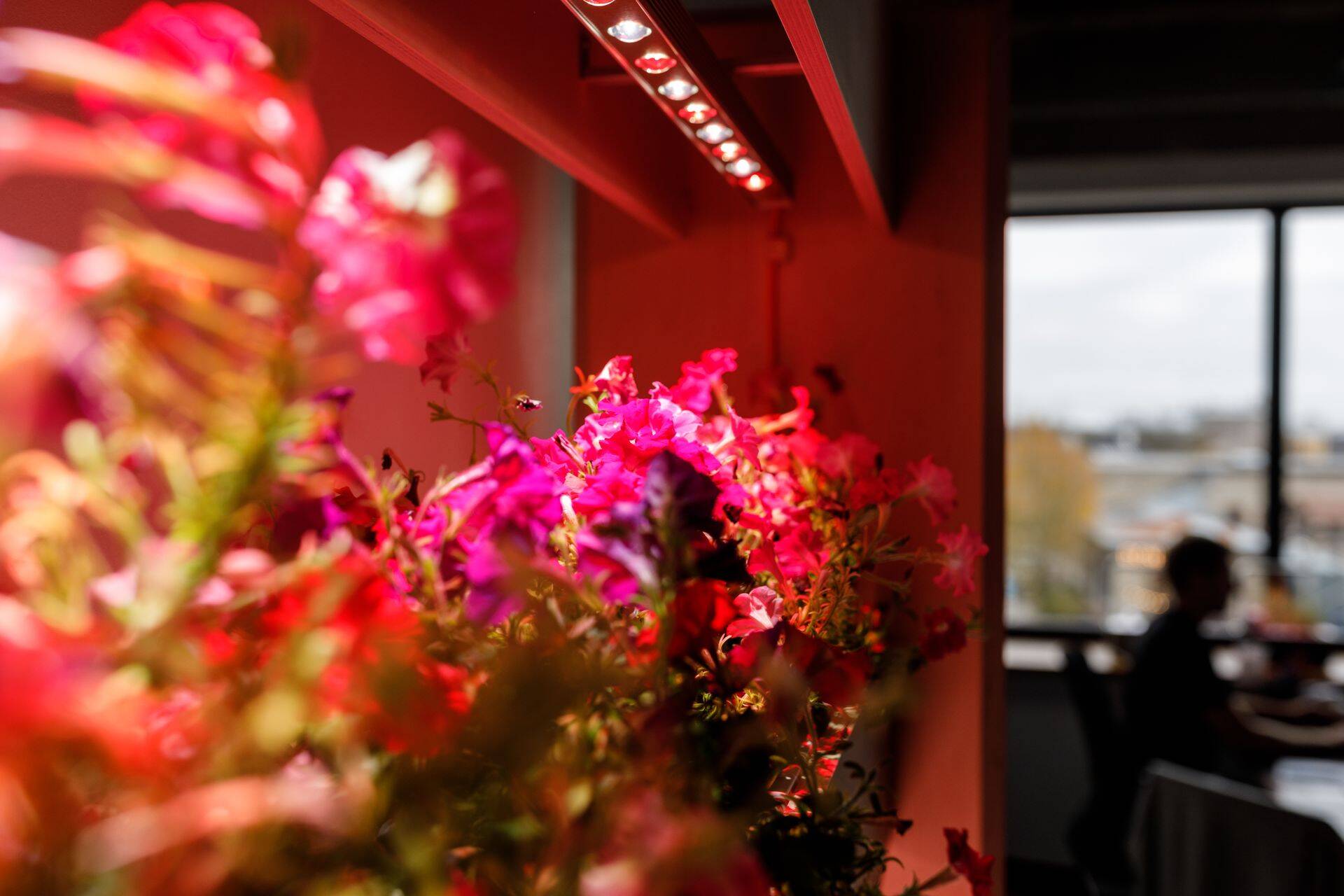 Ettevõtte tooteportfelli olulisimaks projektiks oli 25kohalise aia turule toomine, seisab aruandes. Fotol ettevõtte Tallinna kontor.