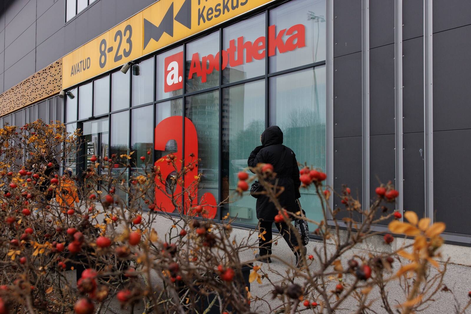 Apotheka, Apotheka Beauty и PetCity не смогли защитить данные клиентов.