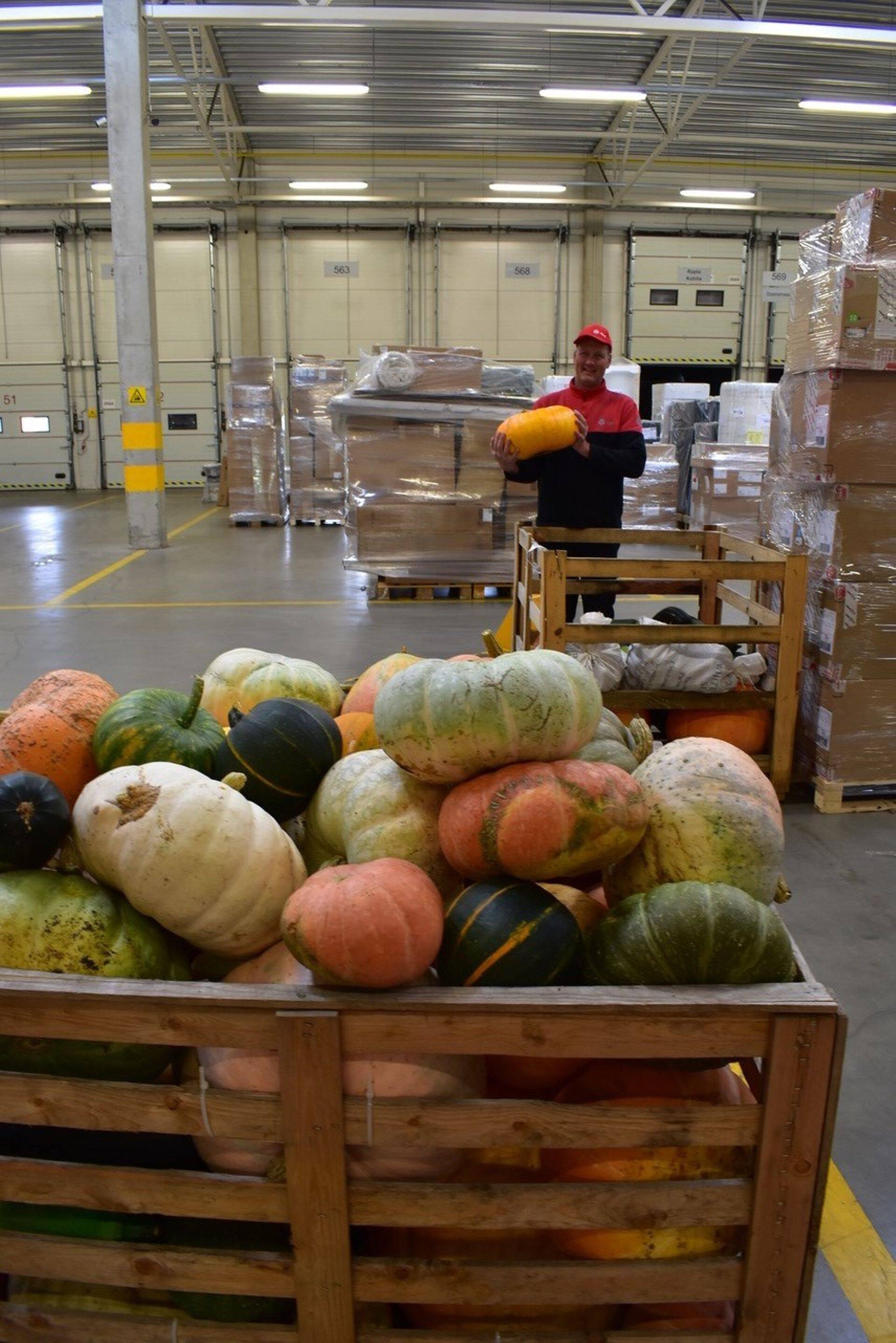 DPD toimetab tasuta kohale kõikide kõrvitsakasvatajate kõrvitsad igast Eesti otsast.