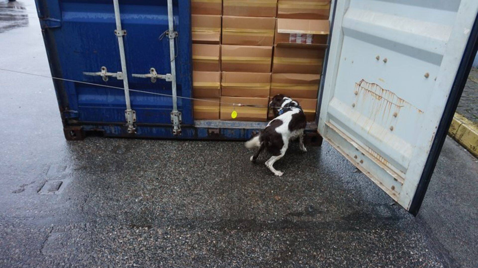 Tollikoer leidis konteineri salasigarettiga lihtsa vaevaga üles.