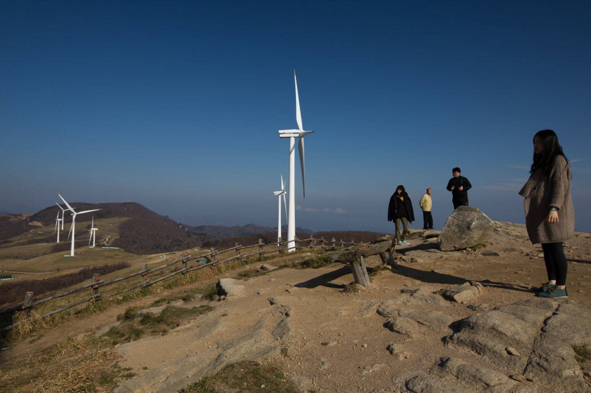 Vestas Wind Systemsi tuulikuid võib näha igal pool maailmas. Näiteks Lõuna-Koreas.