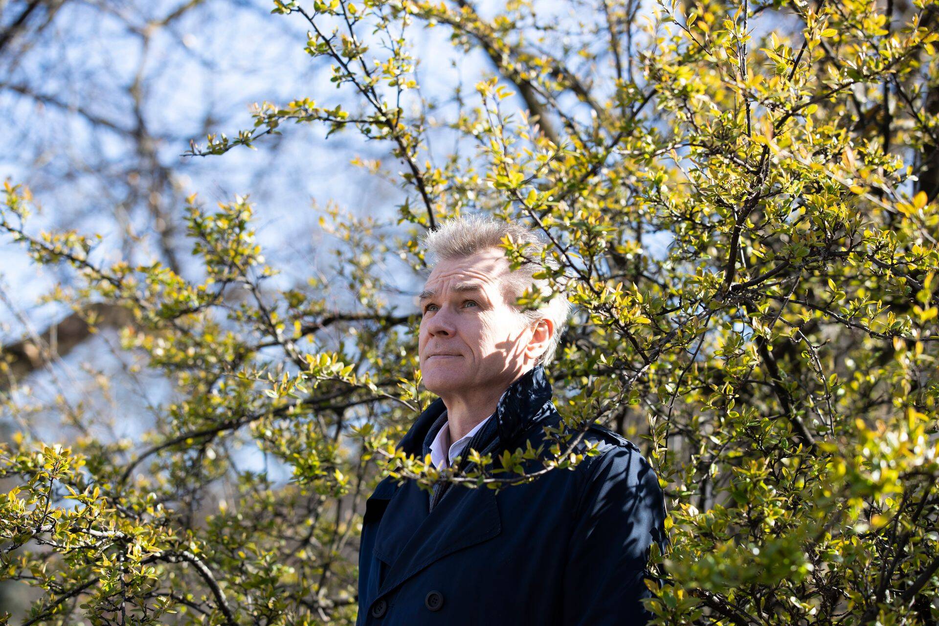 Juhtimiskonsultant Mait Raava