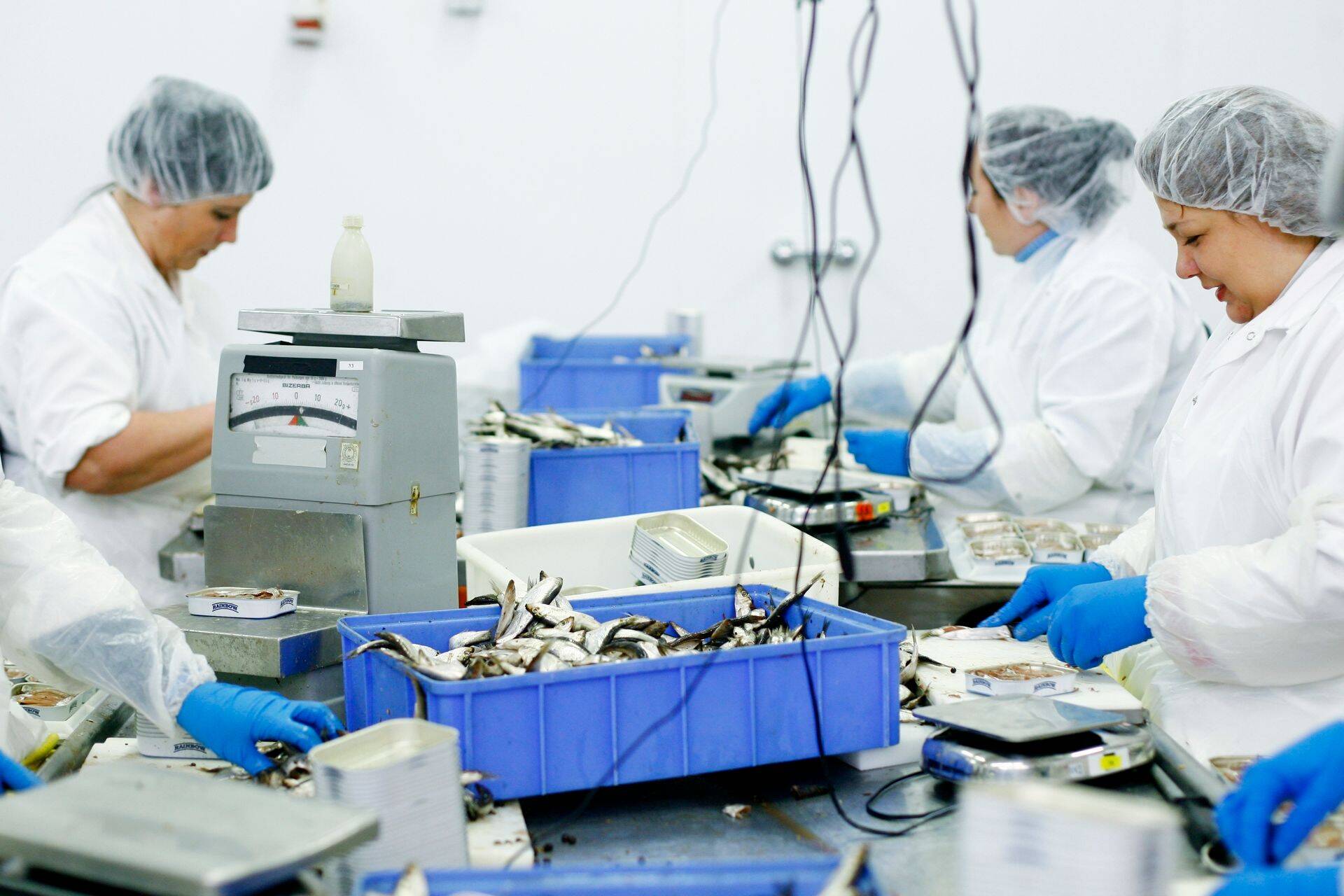 Tootmine Spratfilis 2011. aastal.