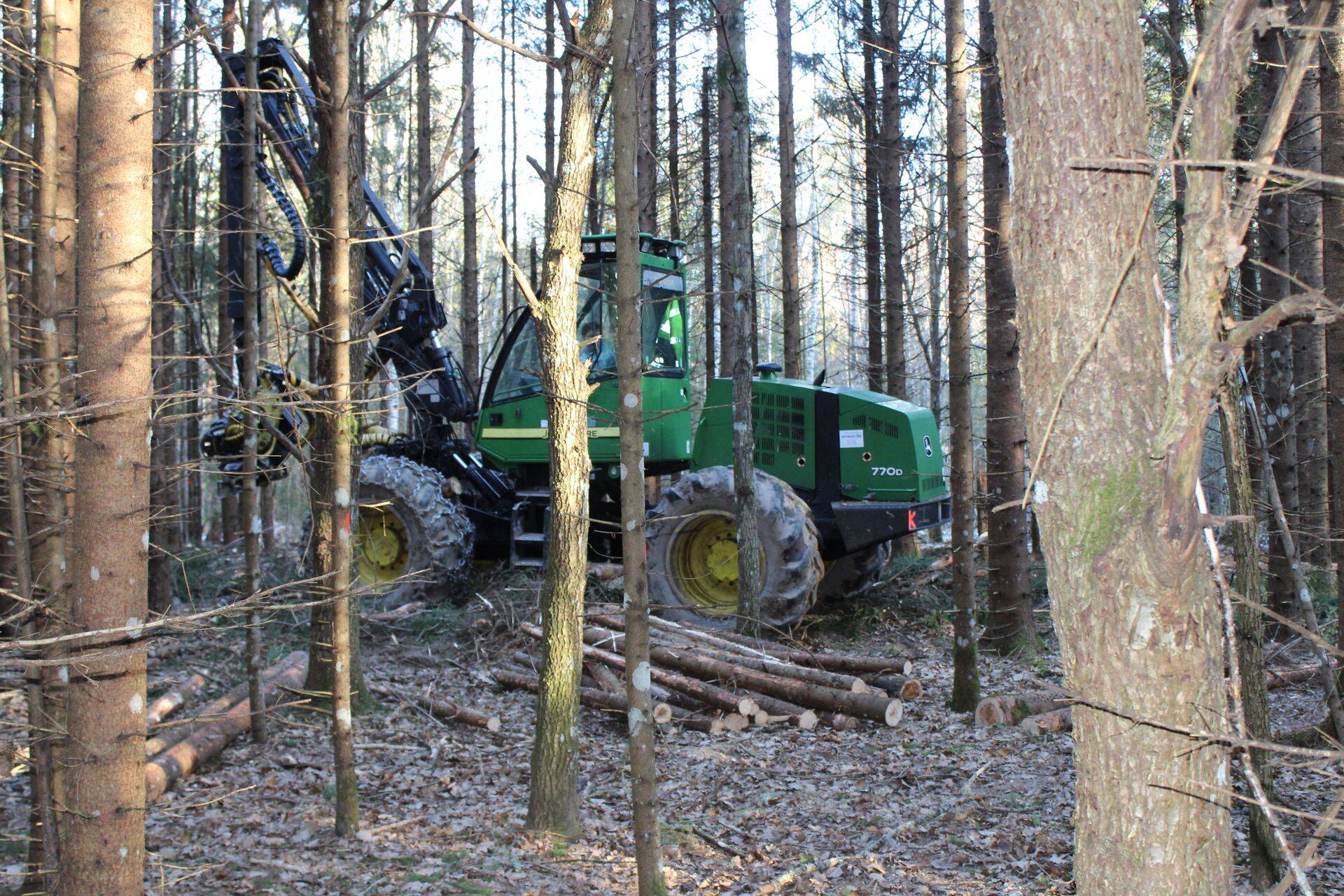 Küttepuidu hinnatõus muutis kasumlikuks ka harvendusraiete käigus varutud puidu.