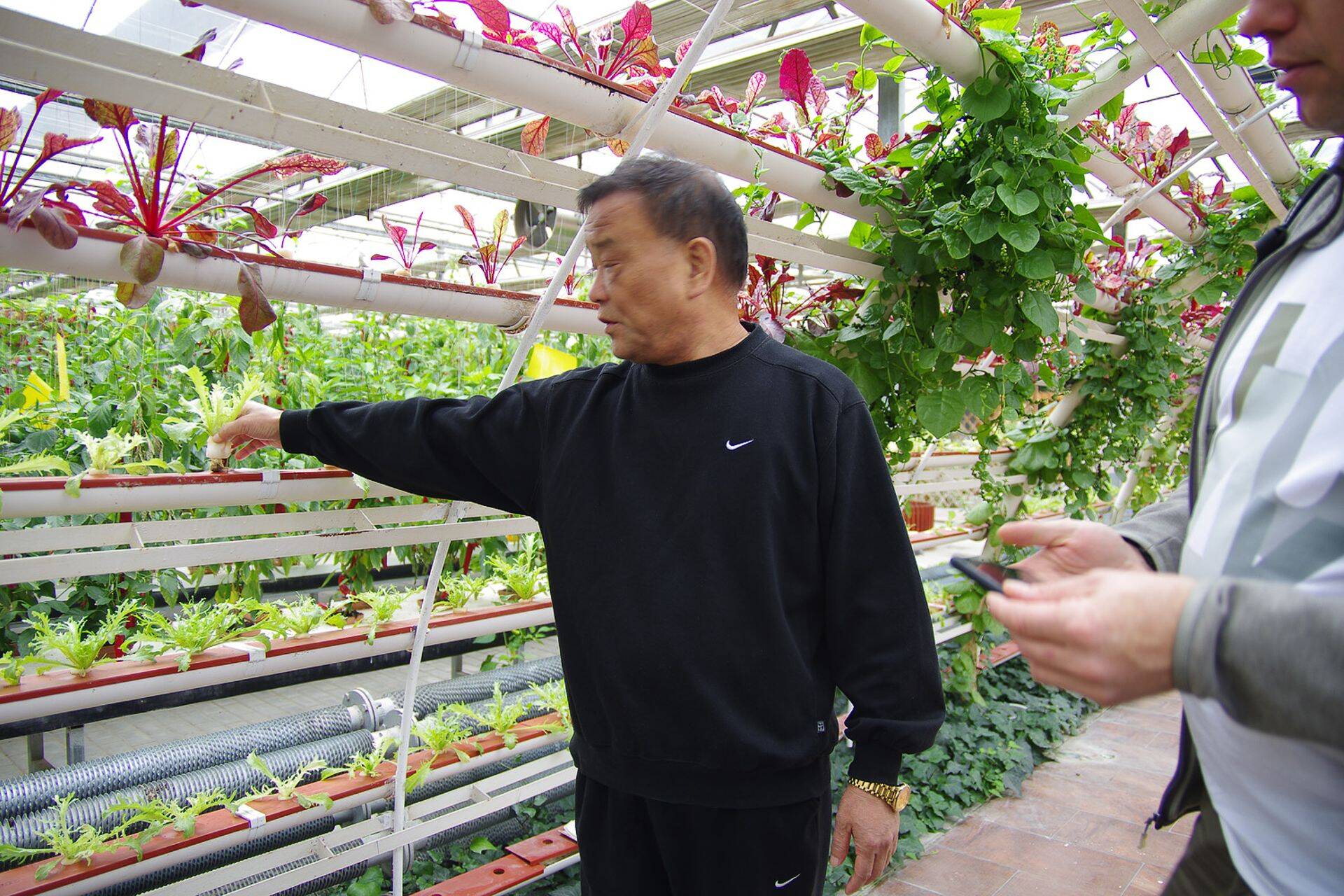 Külastati Hiina Rahvuslikku Põllumajandusuuringute Keskust Xia`n-is