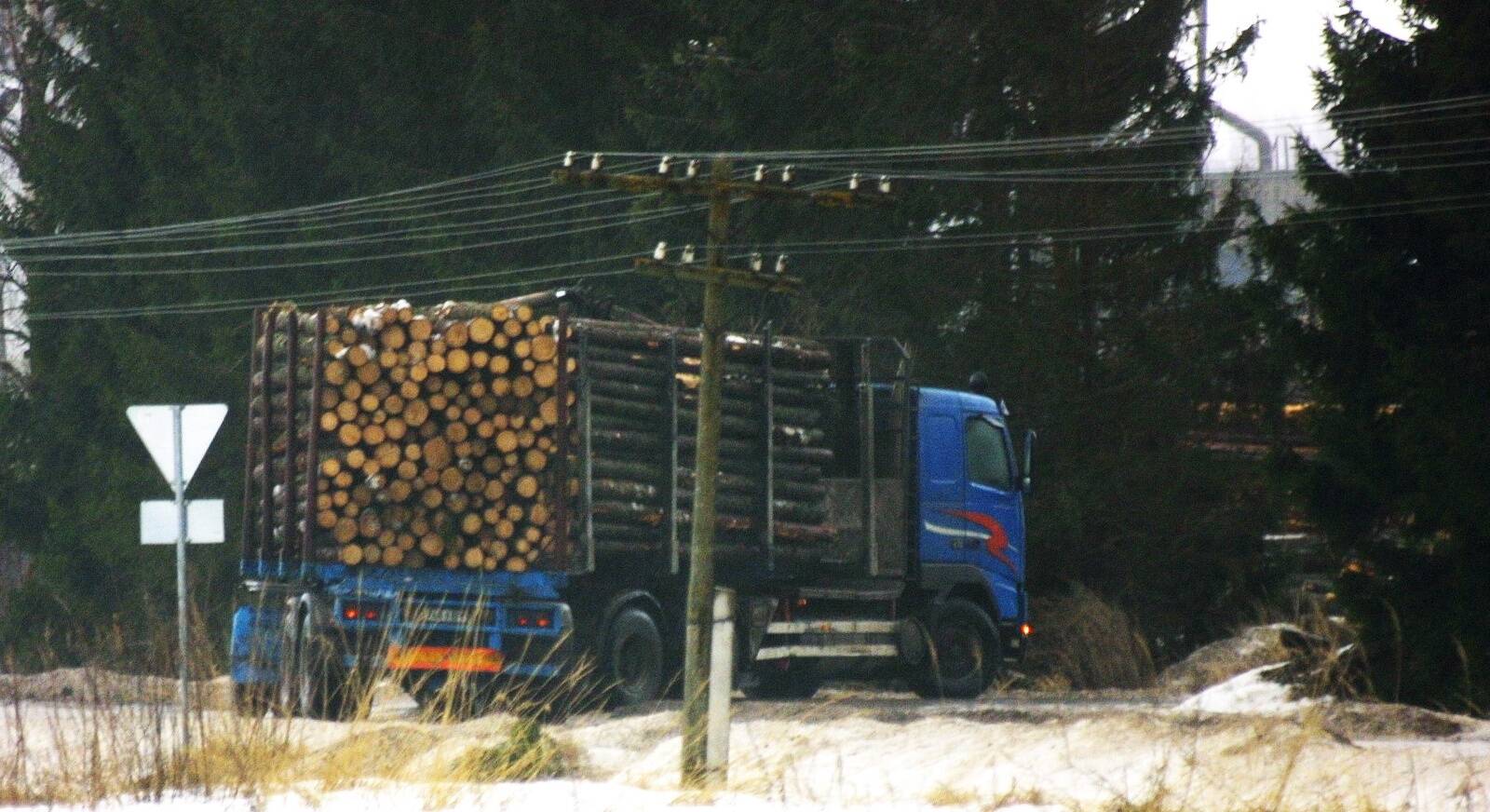 Palgivedu.
