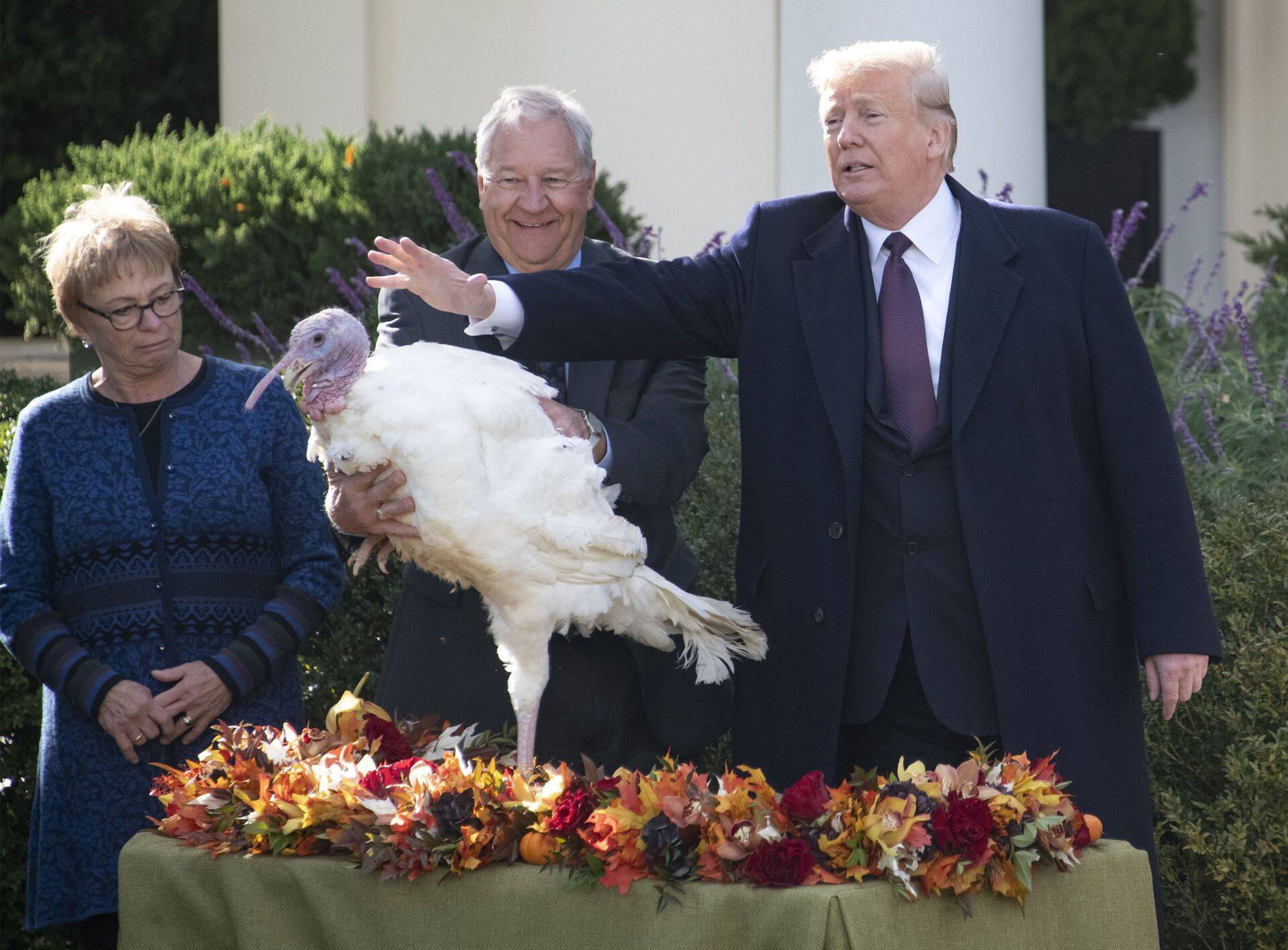 USA president Donald Trump osaleb iga-aastasel tänupühade kalkunitseremoonial.