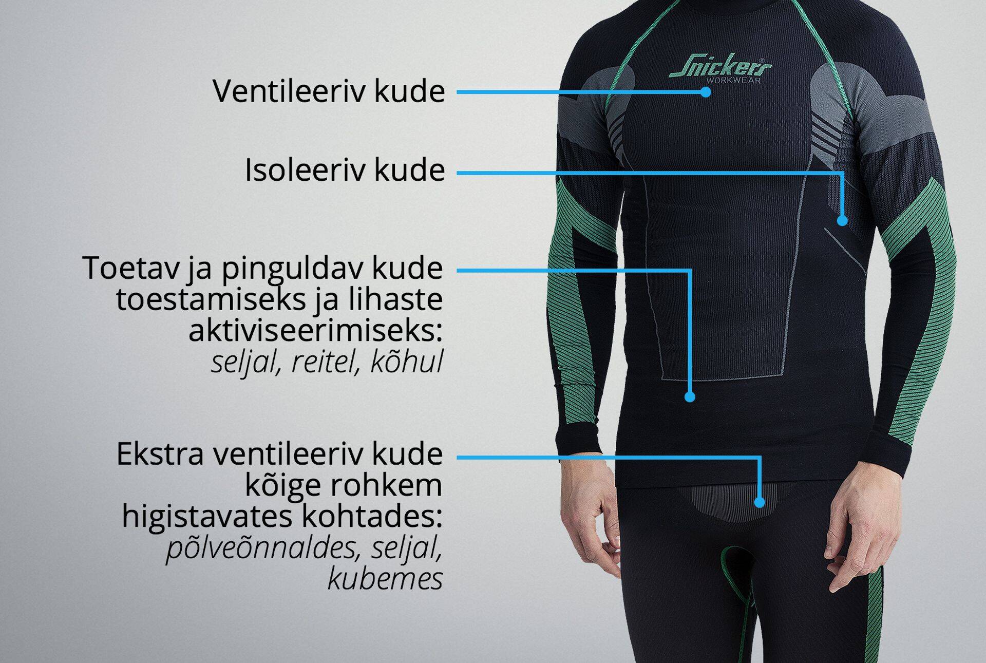 Pesu erinevatel koestruktuuridel on erinevad funktsioonid.