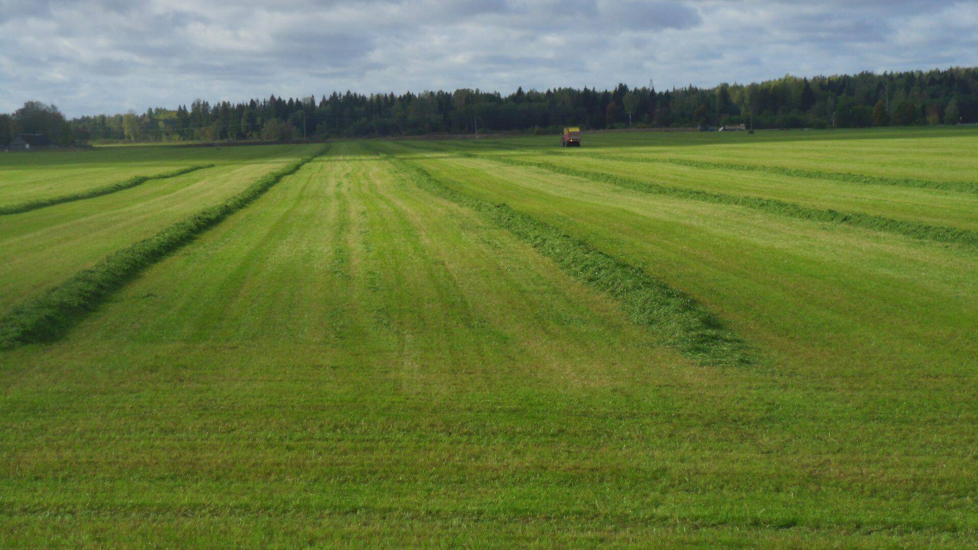 Rohumaade niitmise tähtajad liginevad