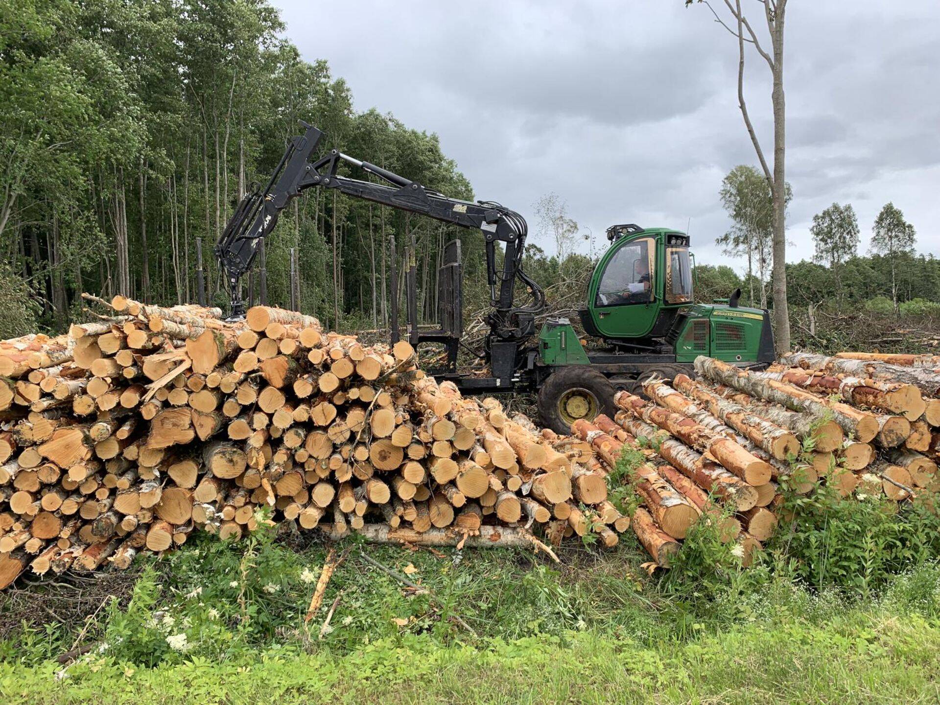 Metsa- ja põllumaa müüki ei häiri hüpoteek ega kinnistul asuvad hooned.